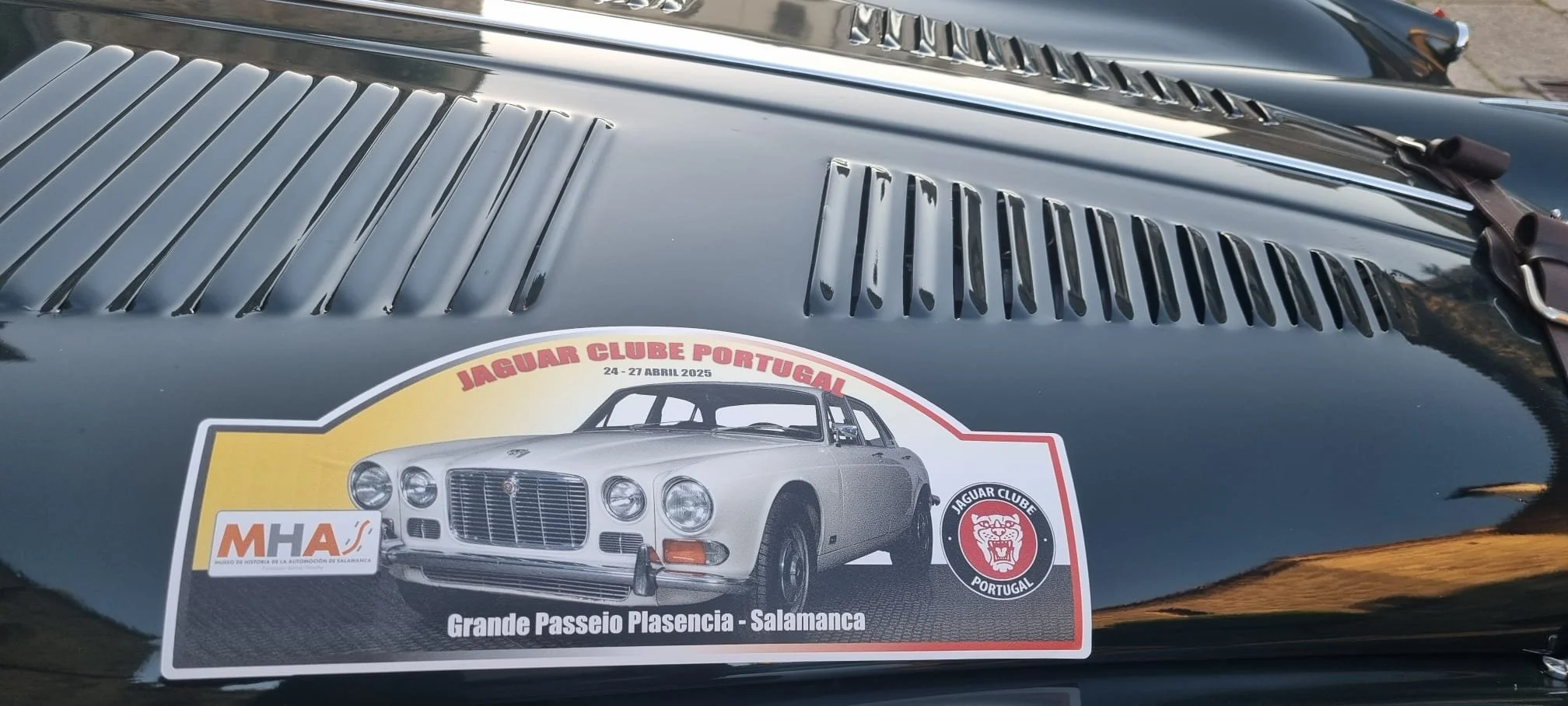 WhatsApp Image 2025-12-20 at 09.38.51.jpeg