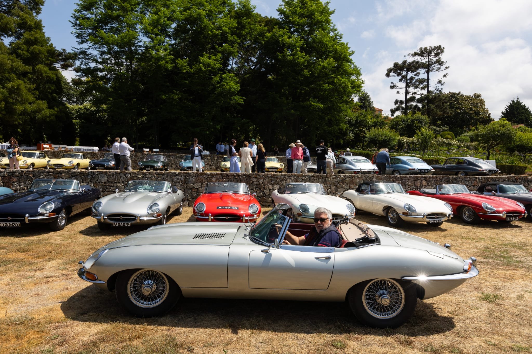 WhatsApp Image 2025-12-20 at 10.08.19.jpeg