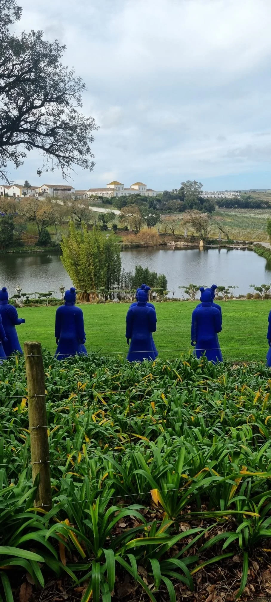 WhatsApp Image 2025-12-20 at 09.16.51.jpeg