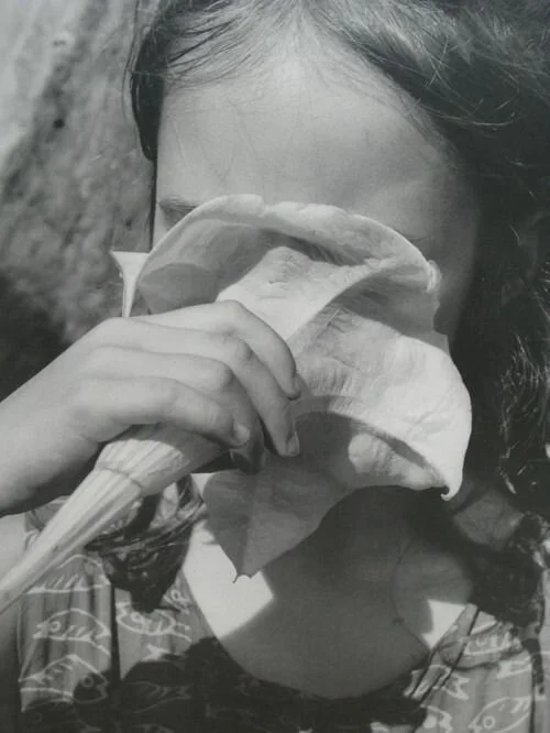 I quit so I could fly