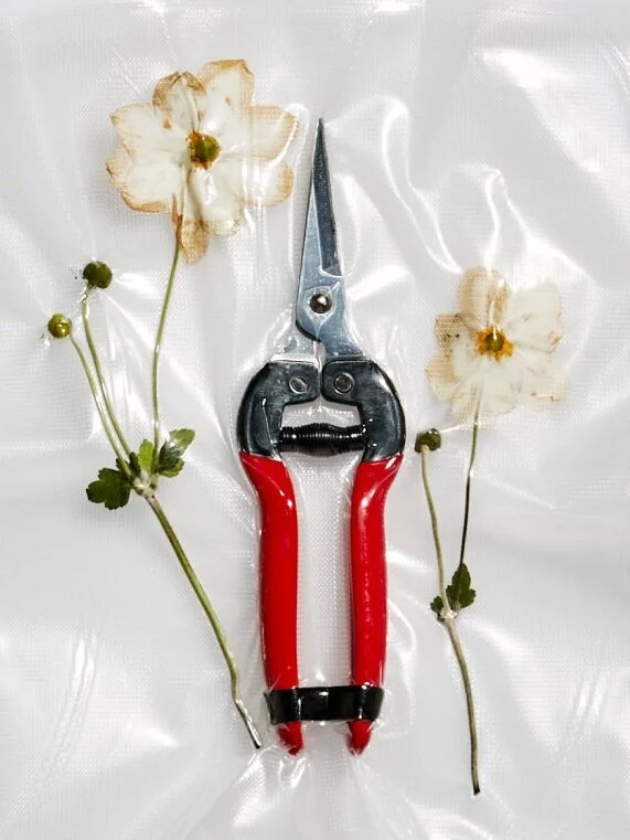 Preserving Perseverance