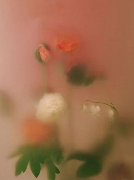 No caveats to happiness