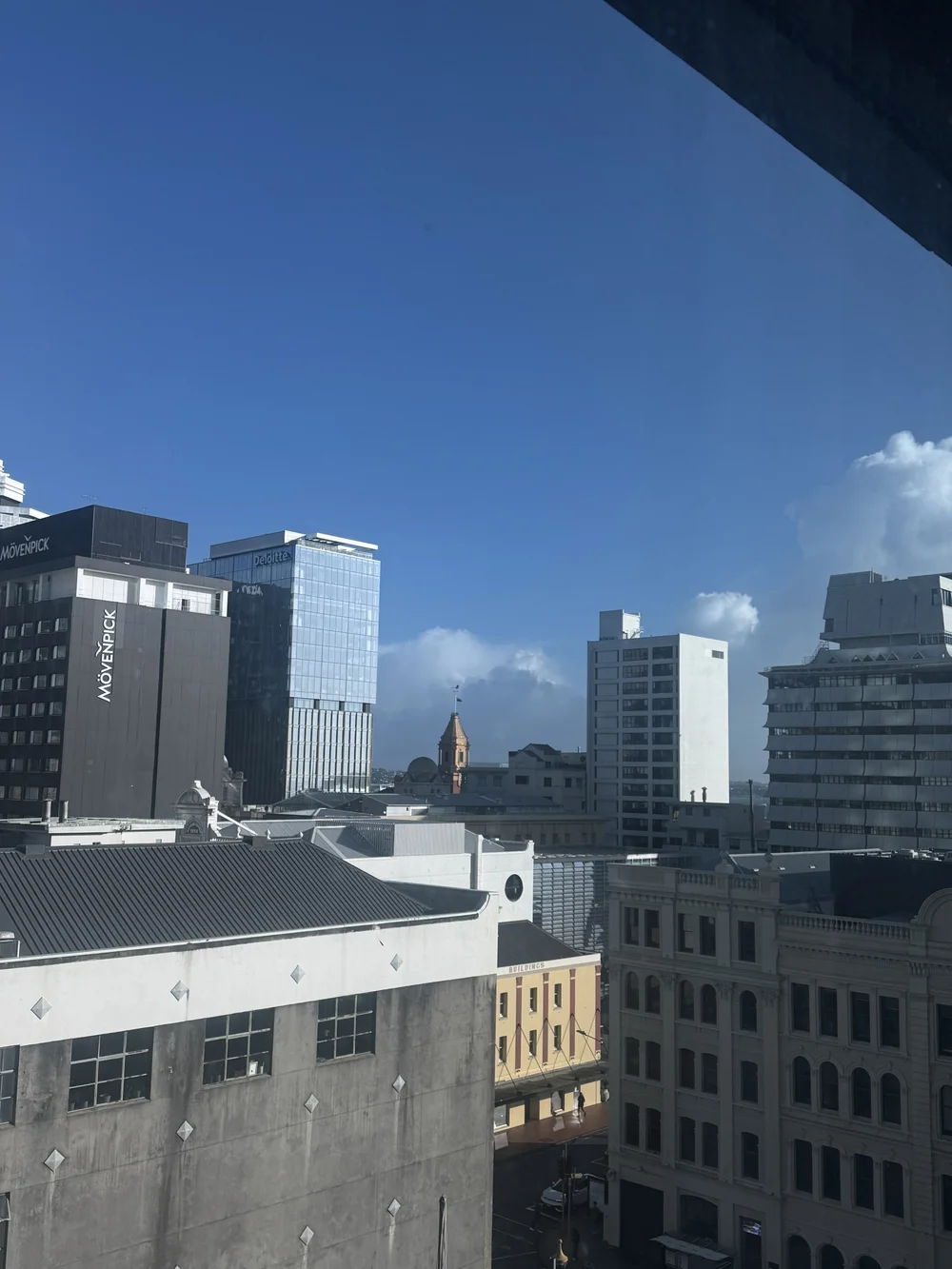 IMG_3781.jpeg