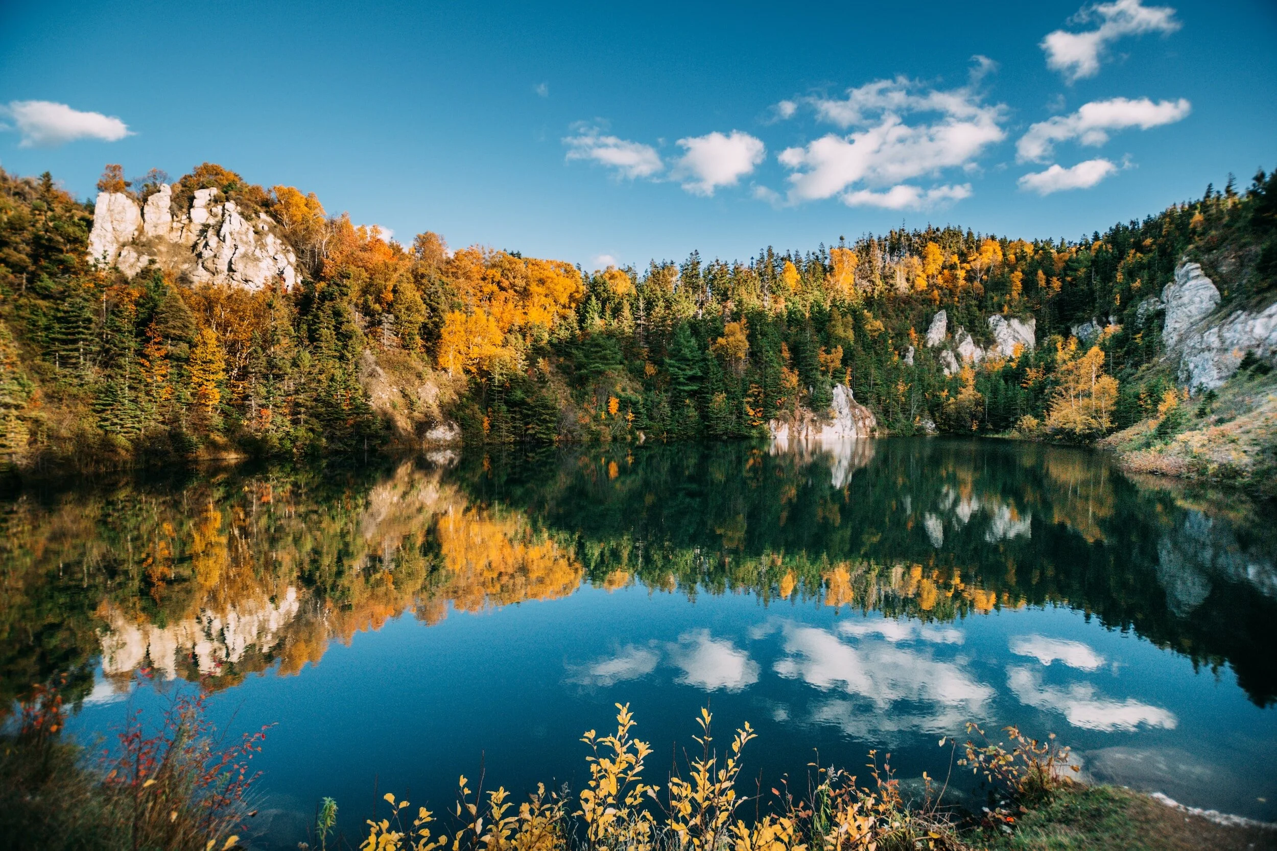 How One Canadian Grassroots Organization Organizes for Abortion Support