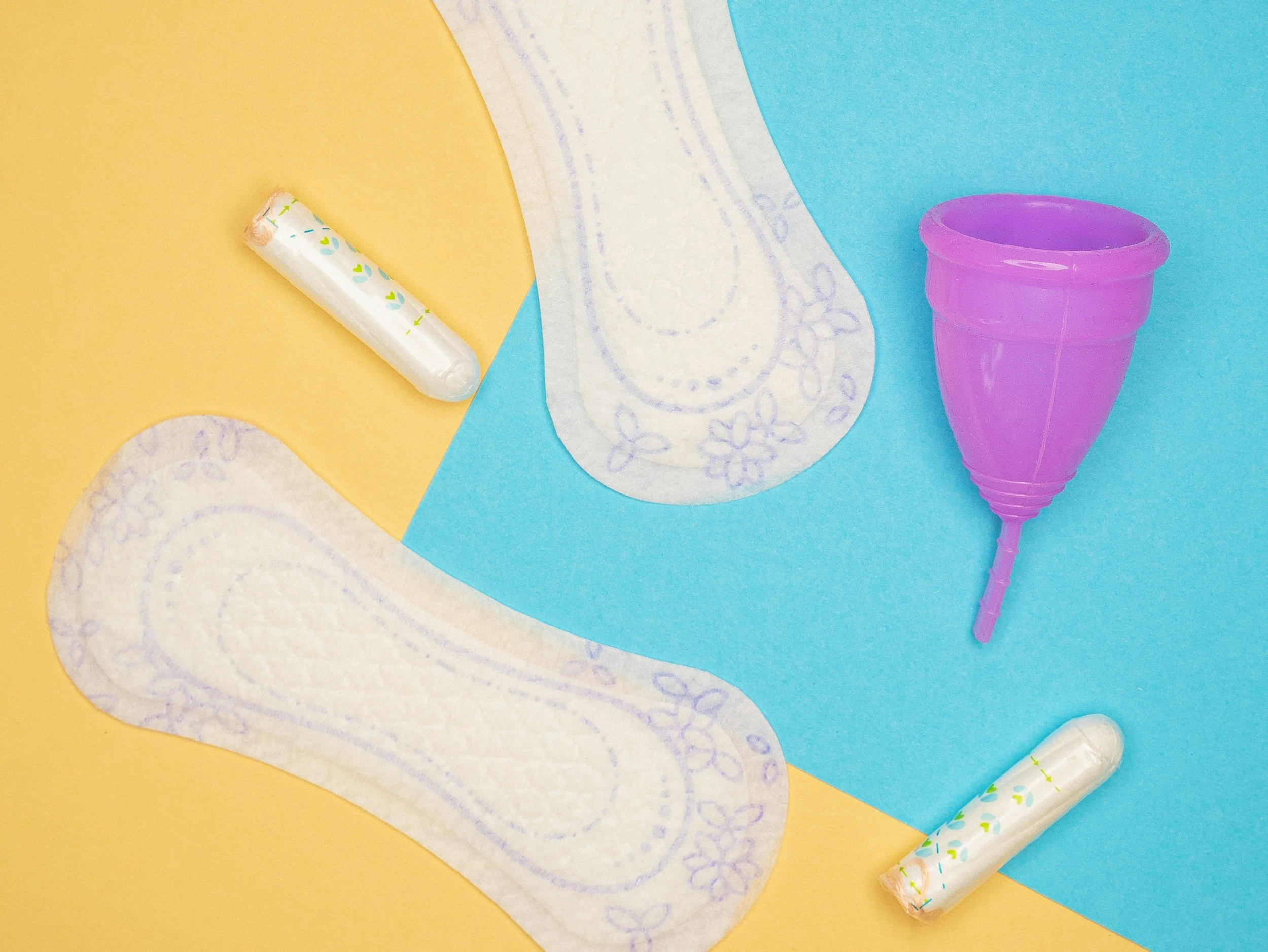 Learning and Teaching About the Menstrual Cycle