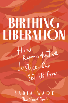 Birthing Liberation: How Reproductive Justice Can Set Us Free by Sabia Wade