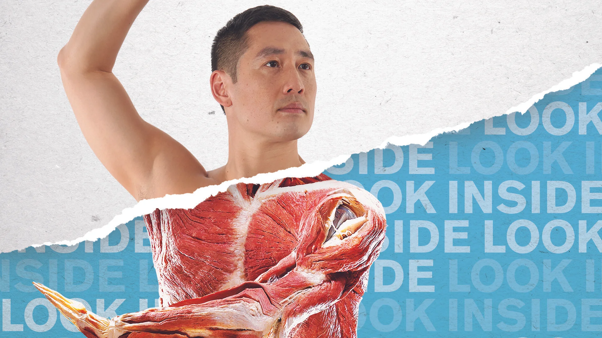 Museum of Science: Body Worlds