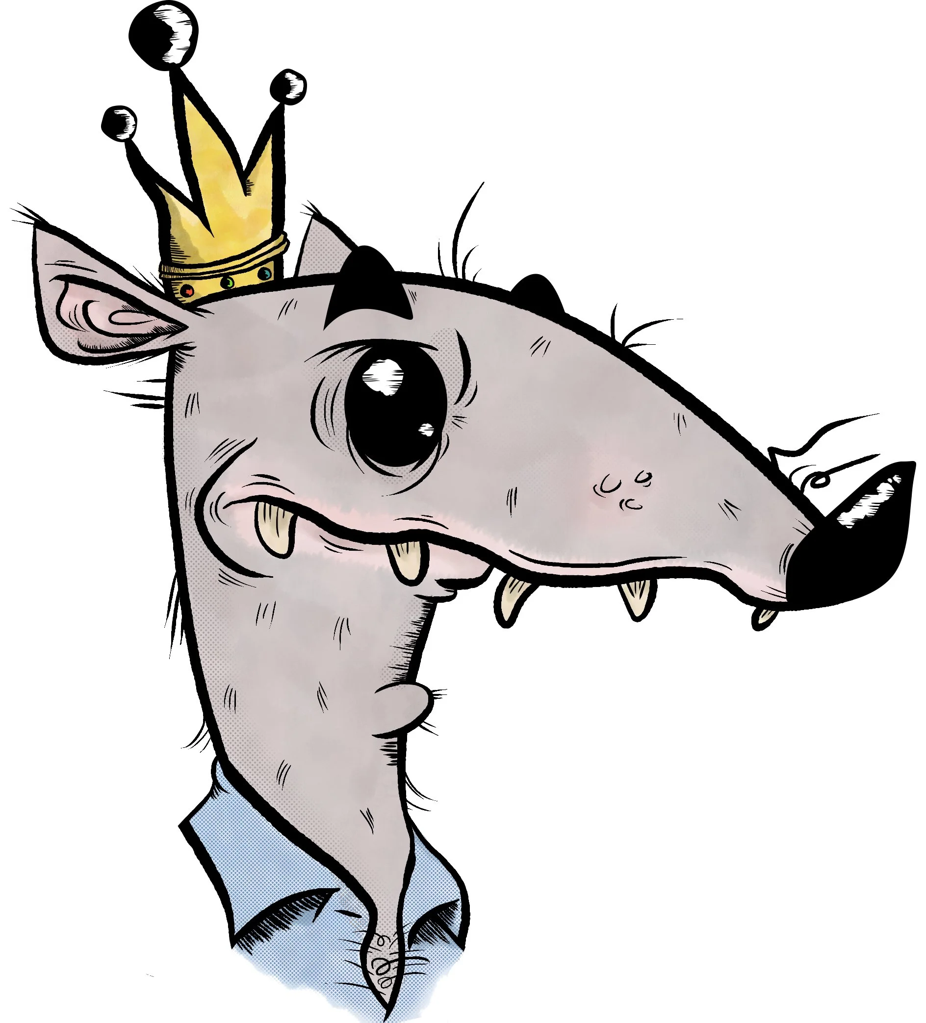 IMG_20161229_192554696 copy.jpg