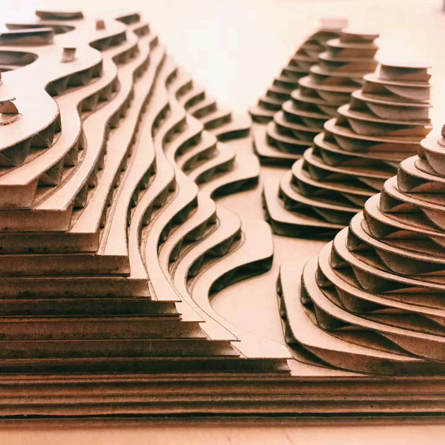 Laser cut.jpeg