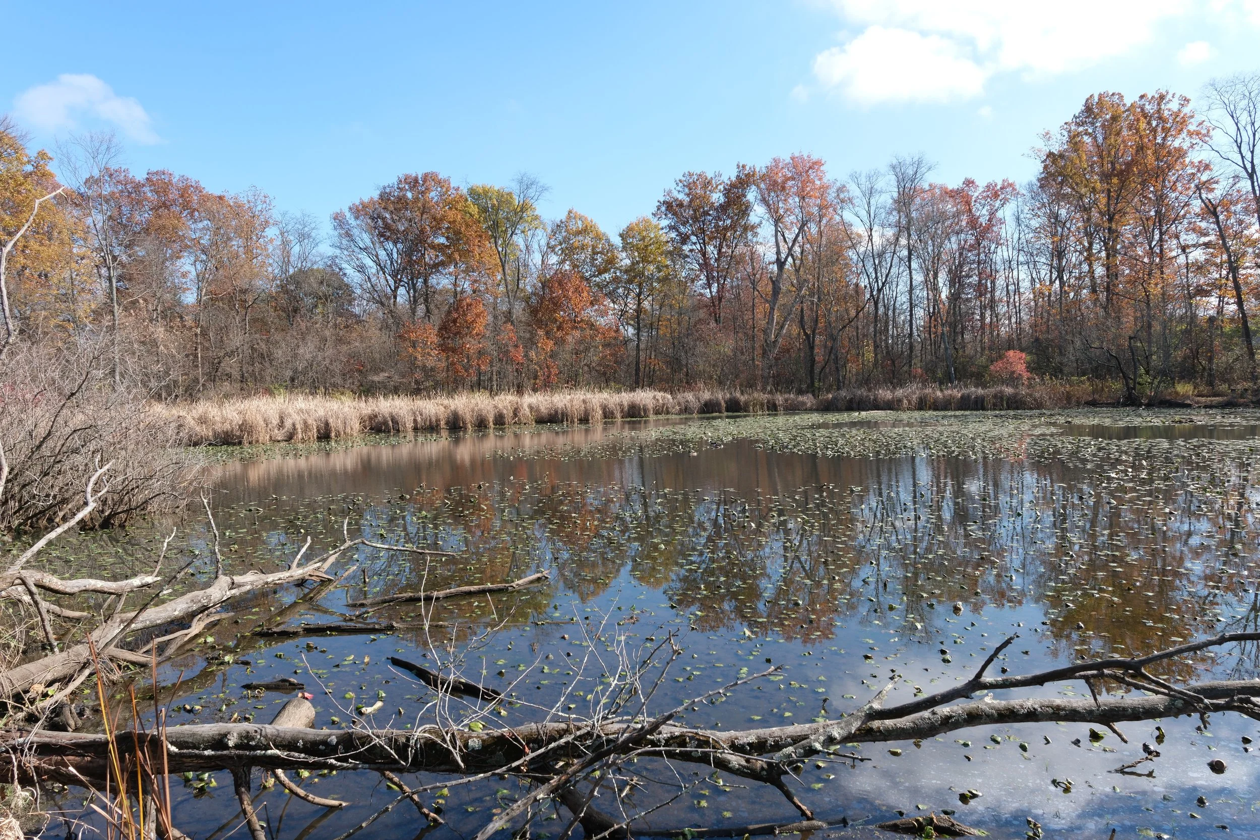 Our Ice Age Souvenir: Boyer Nature Preserve