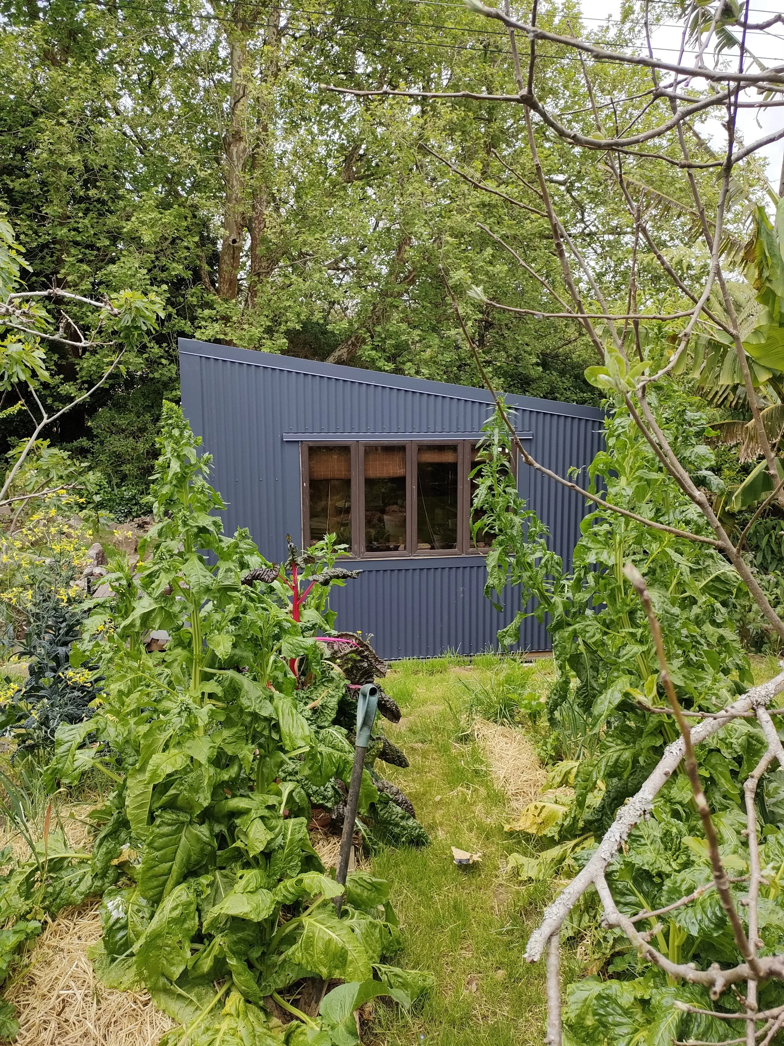 IMG20221025141642 (2).jpg