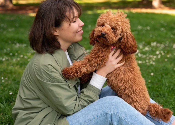 Boutique breeder