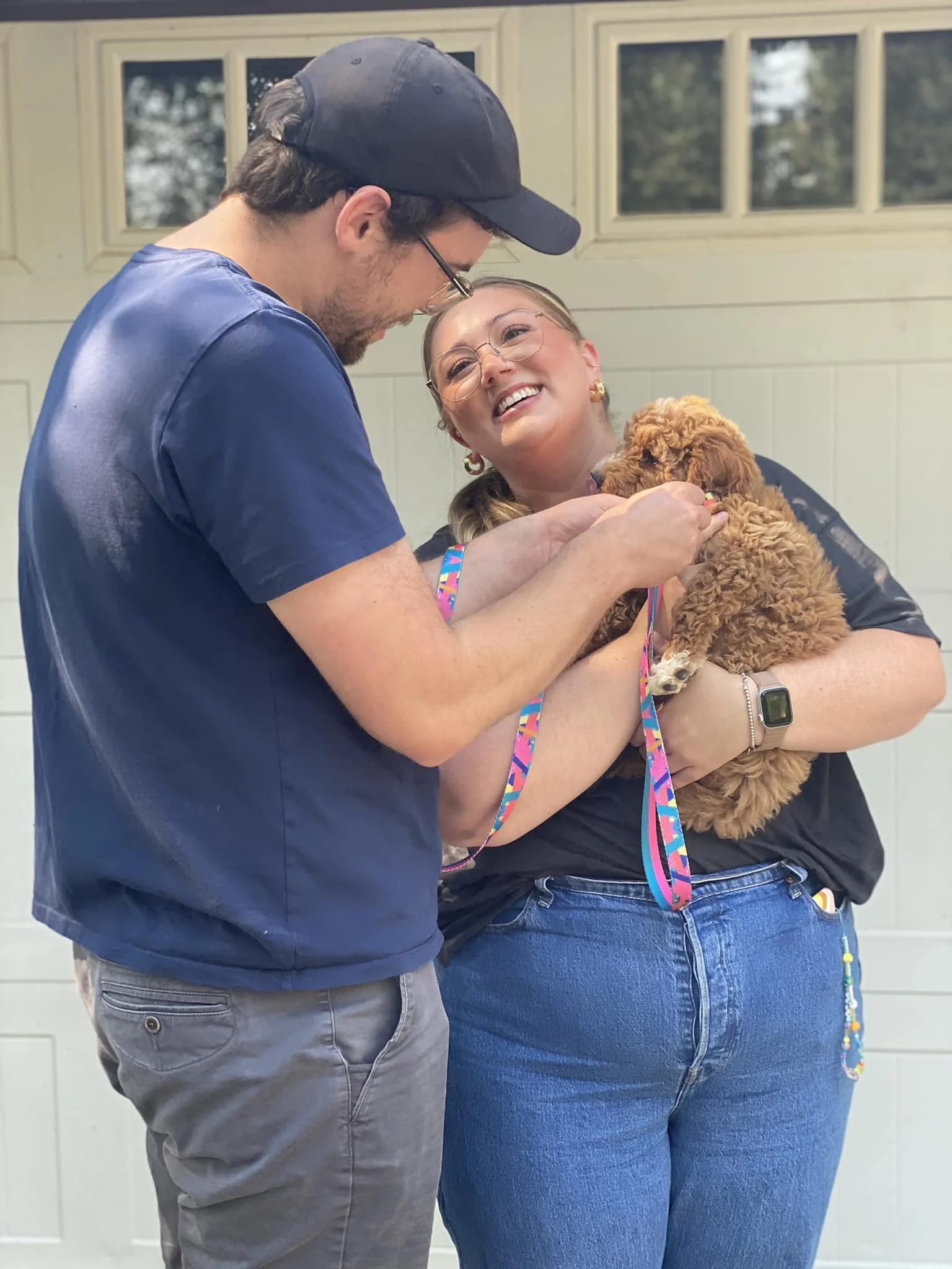 Family-friendly Goldendoodles Calgary