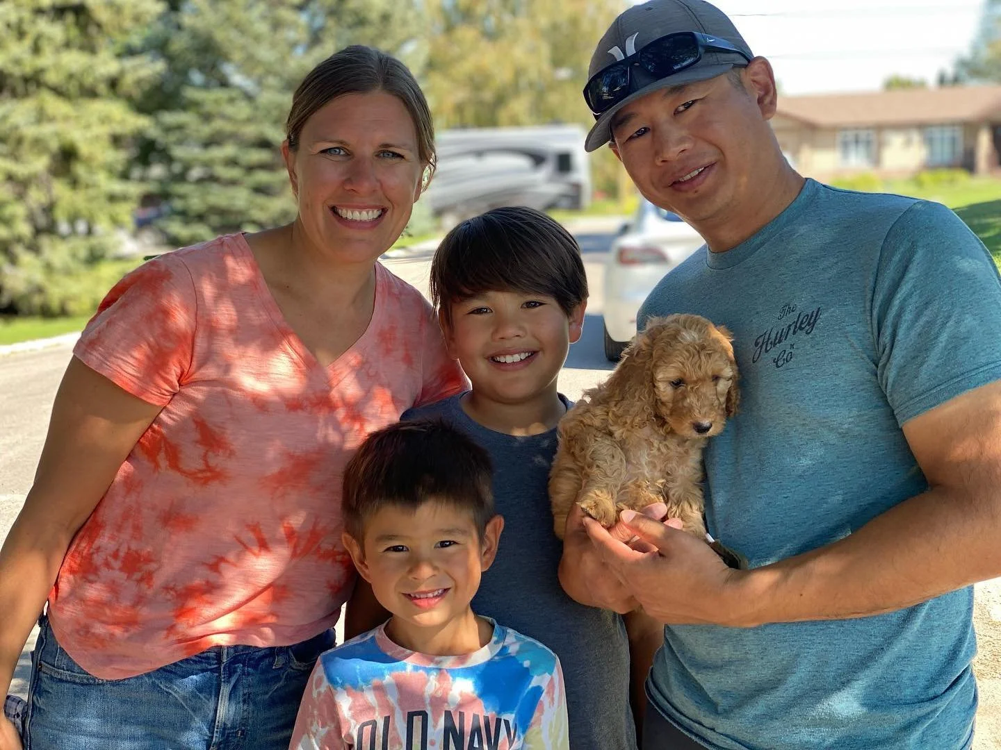 Family-owned Goldendoodle breeder