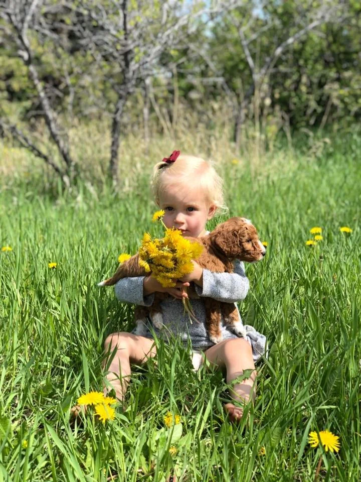 Child Holding Puppy 🐶