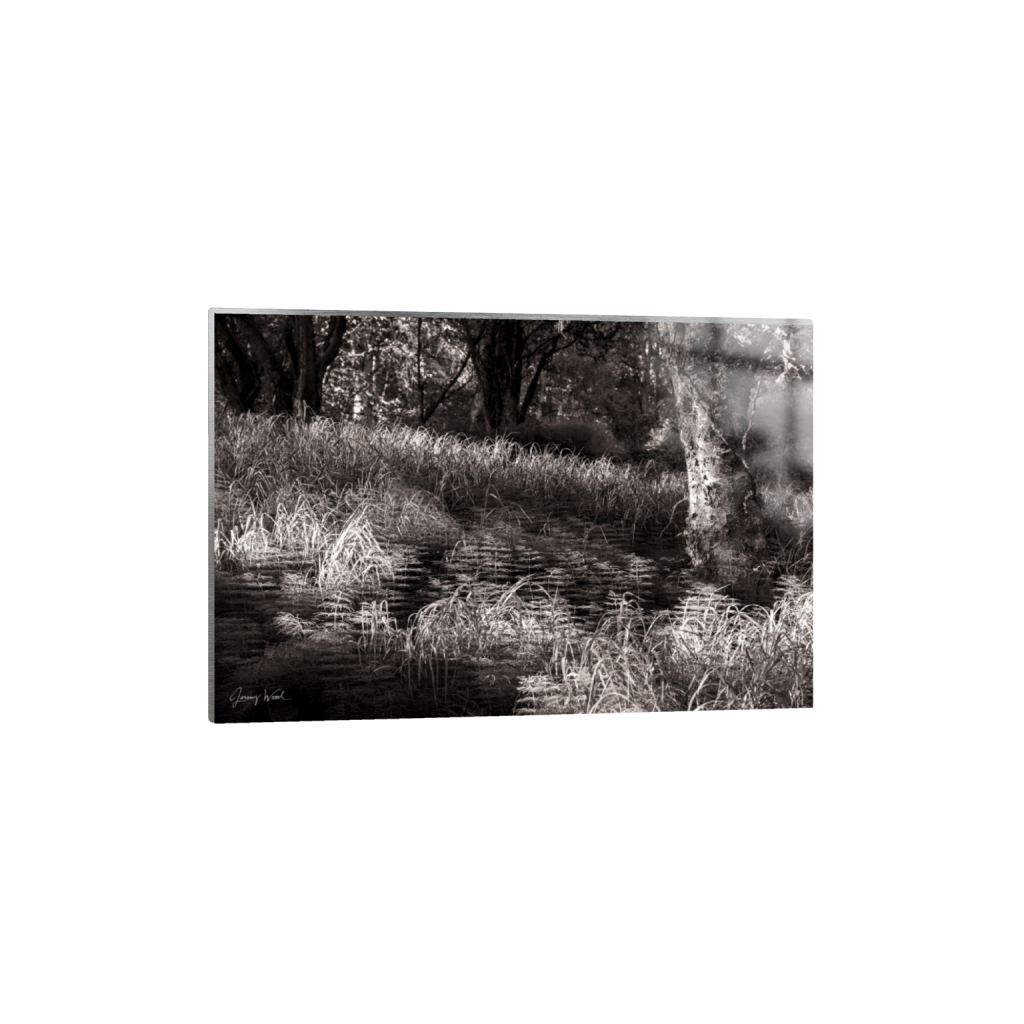 ptq_13_3_0_0_8256_5504_0_false_ffffff_0_0_.png