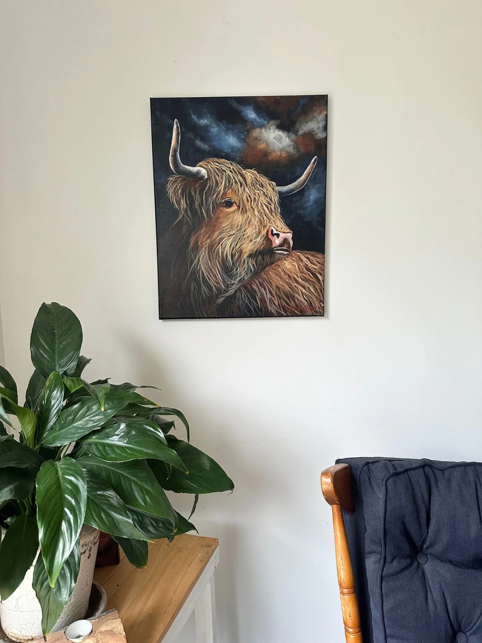 cow 1.jpg