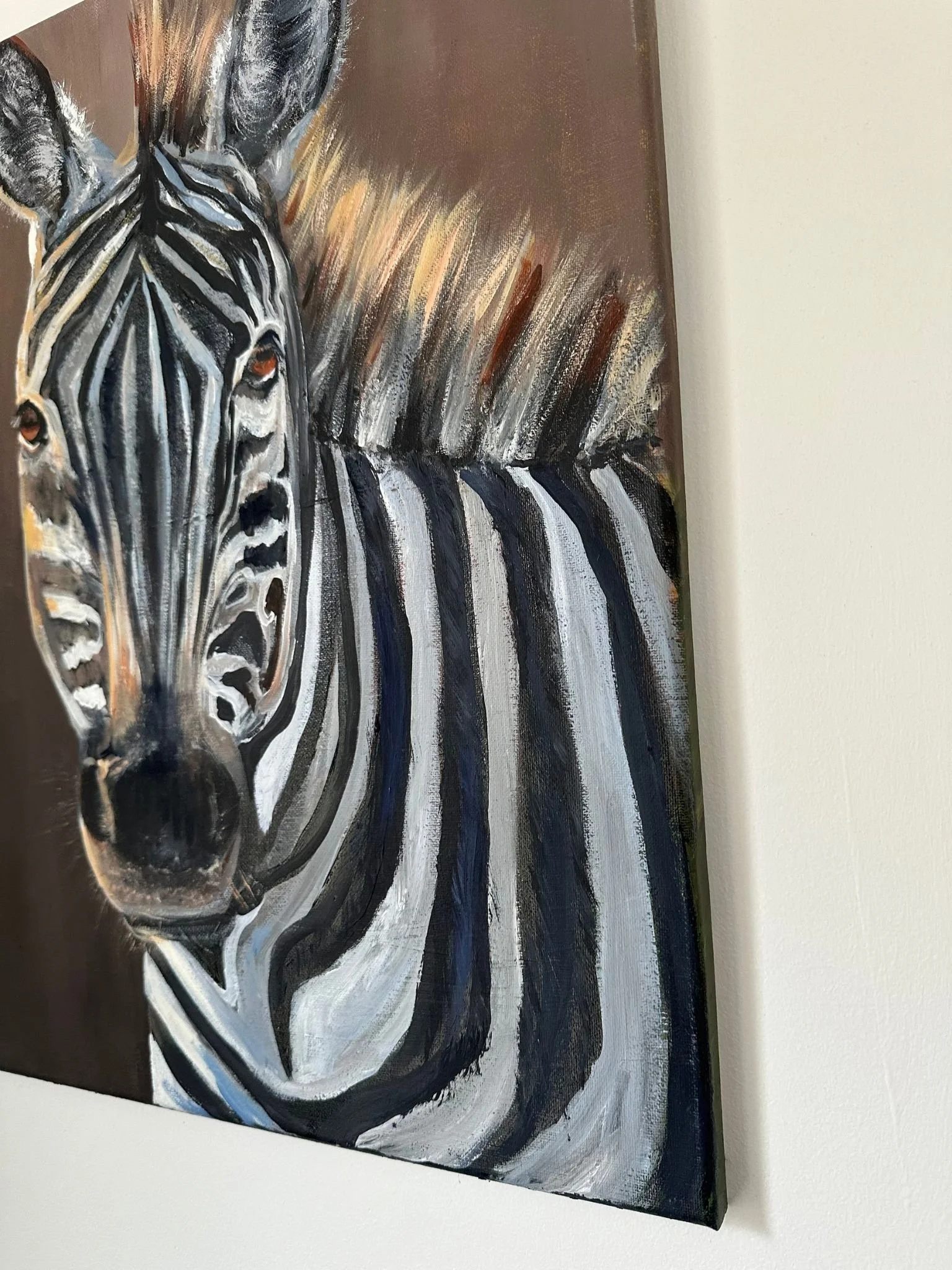 zebra3.jpg