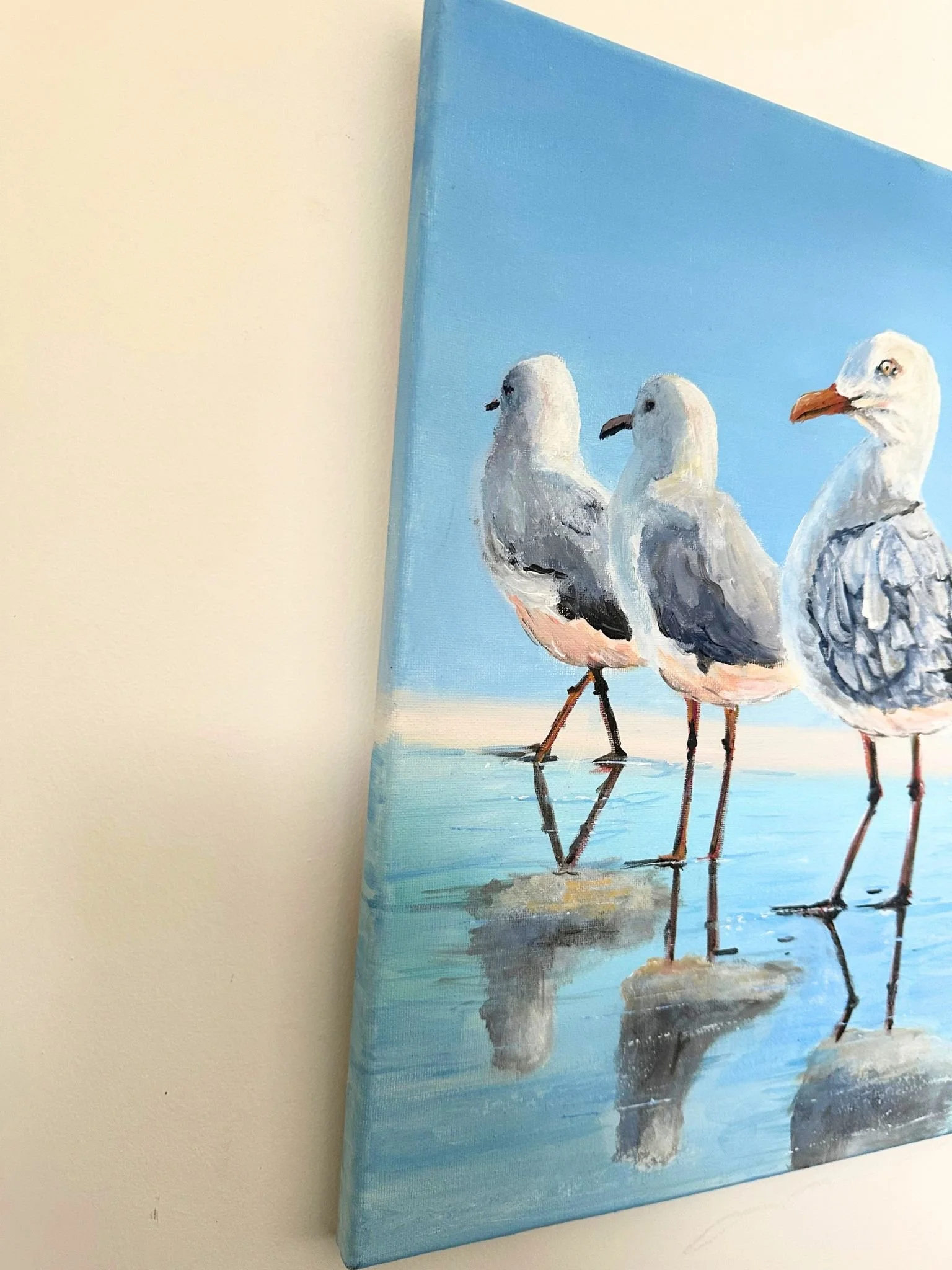 gull 4.jpg