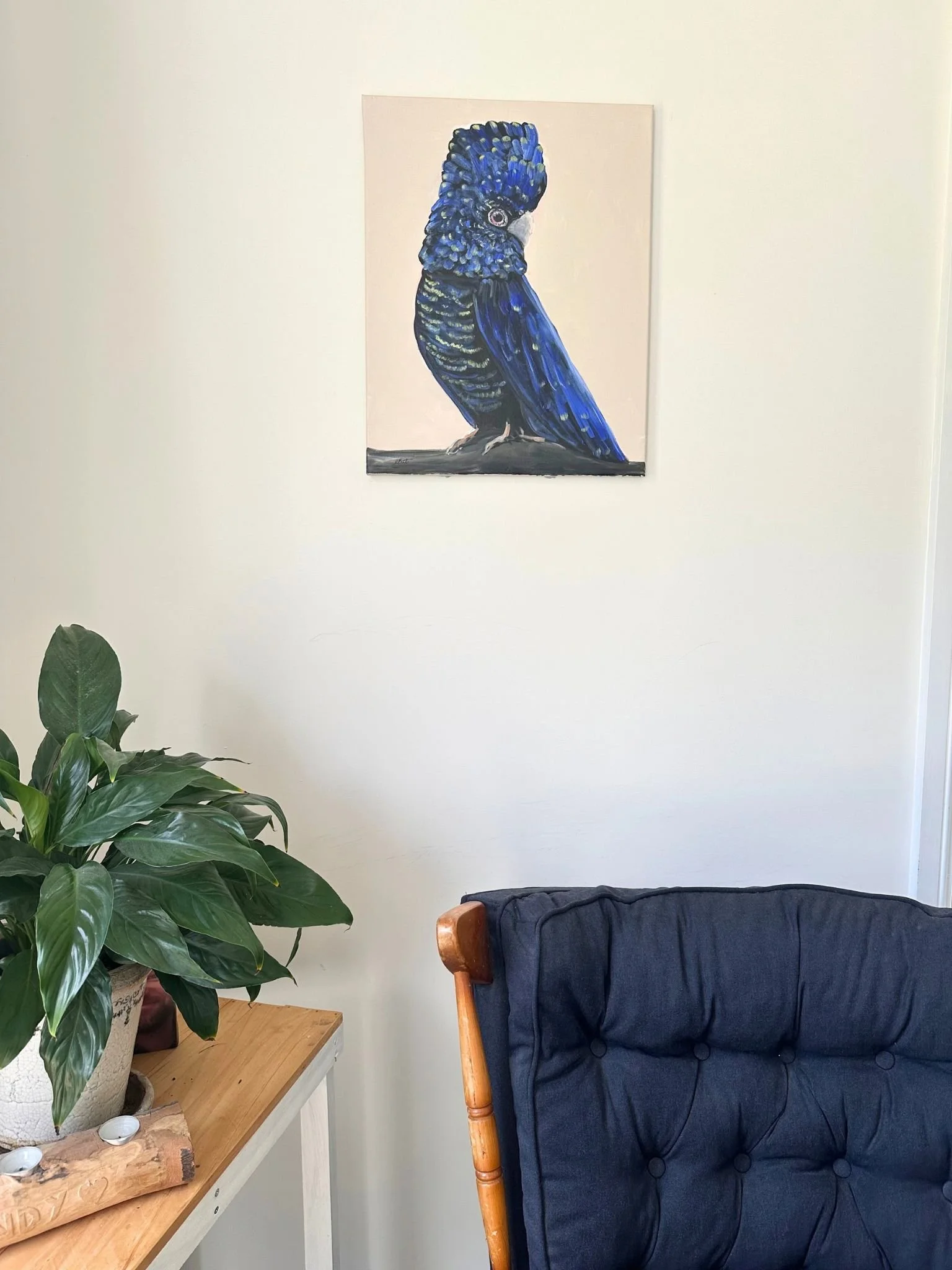 black cocky 1.jpg