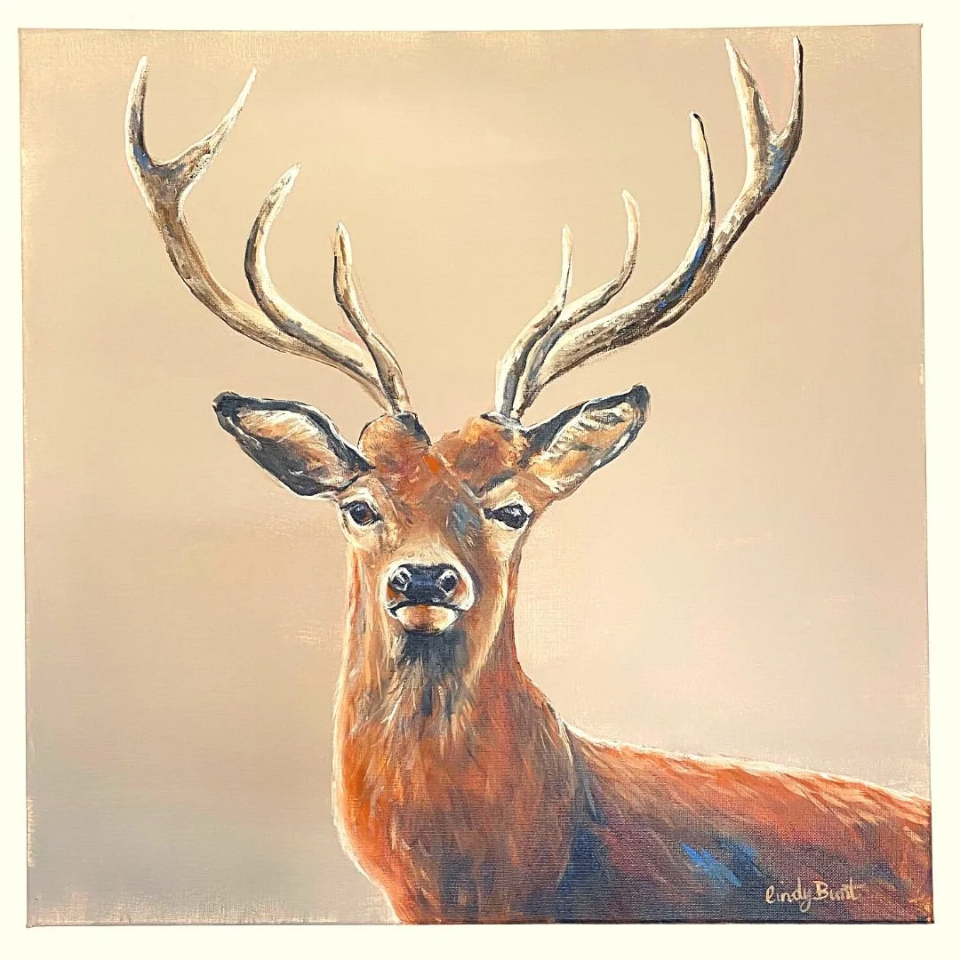 Stag pic.jpg