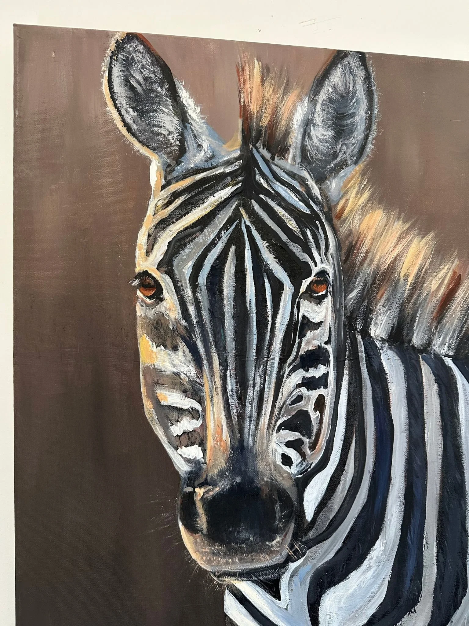 zebra4.jpg