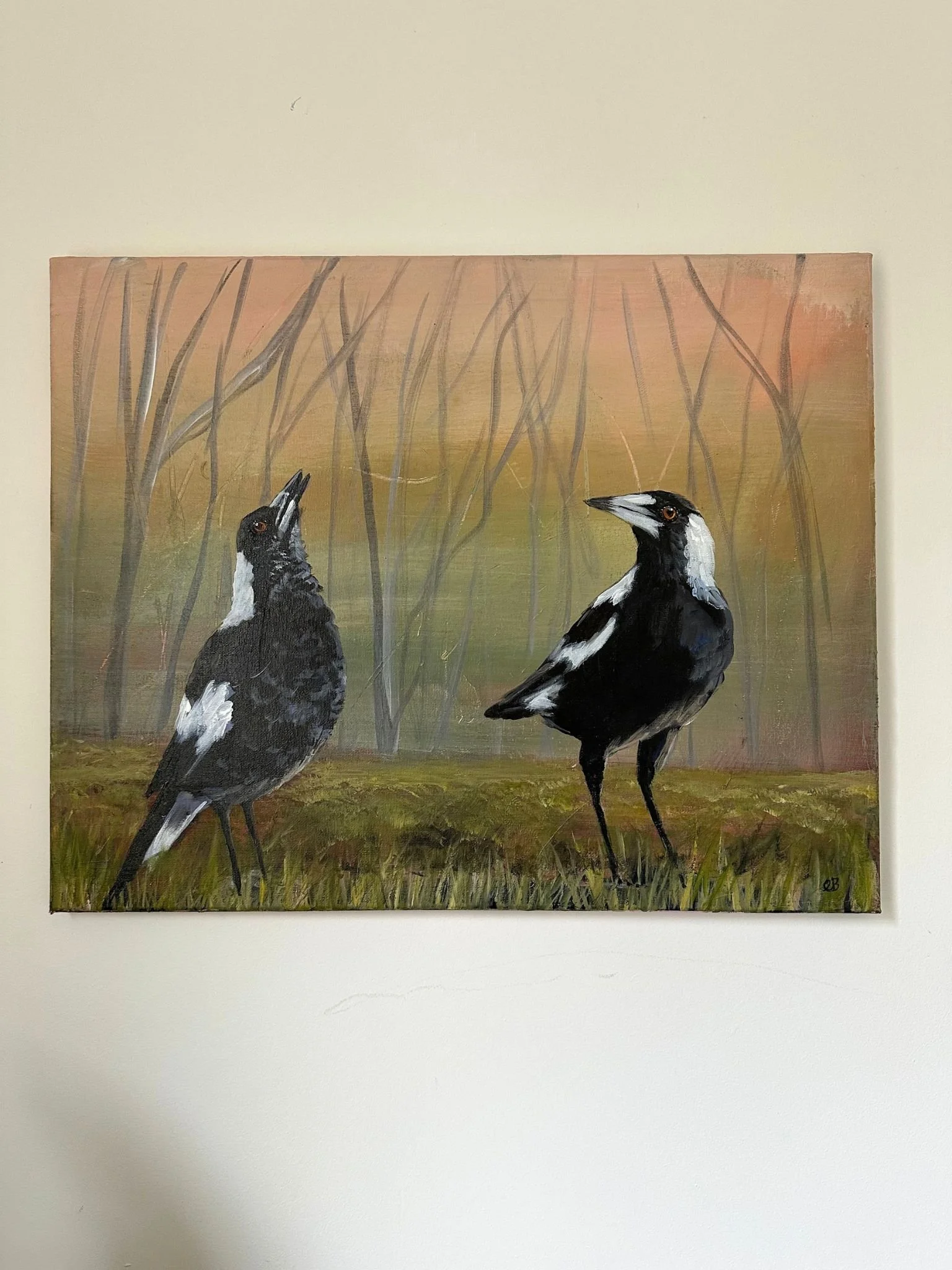 magpie 3 a.jpg