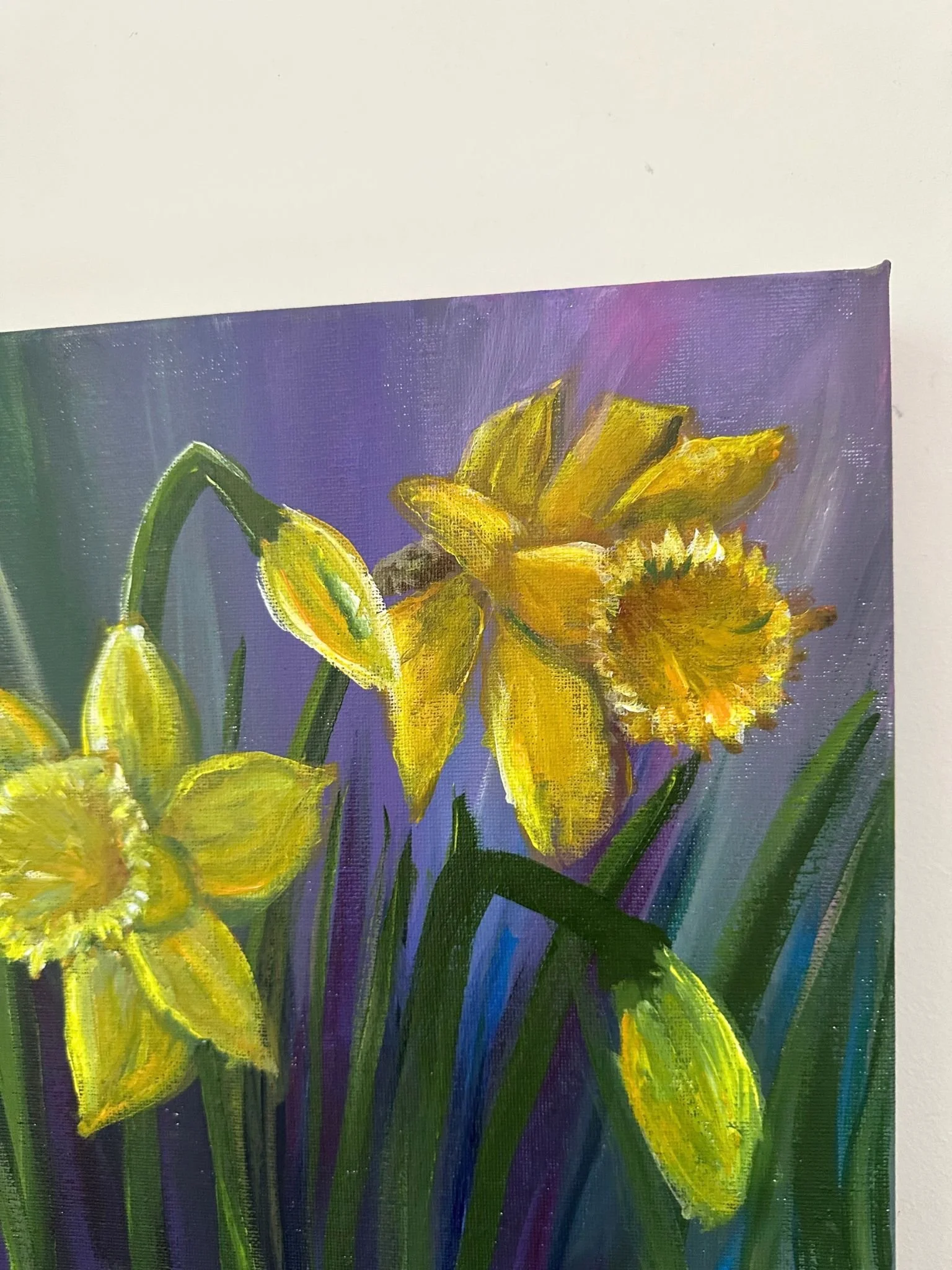 daffodil 3.jpg