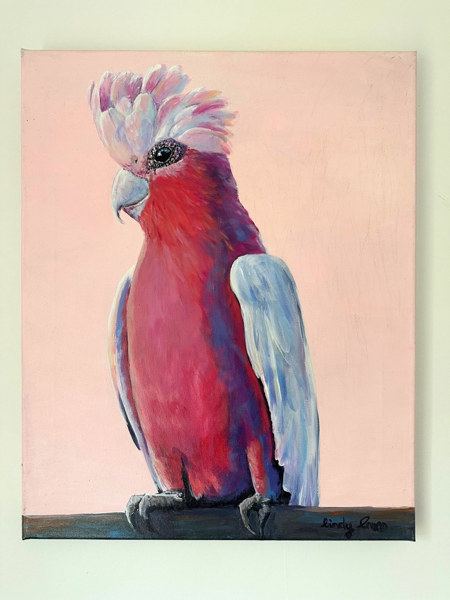 galah.jpg