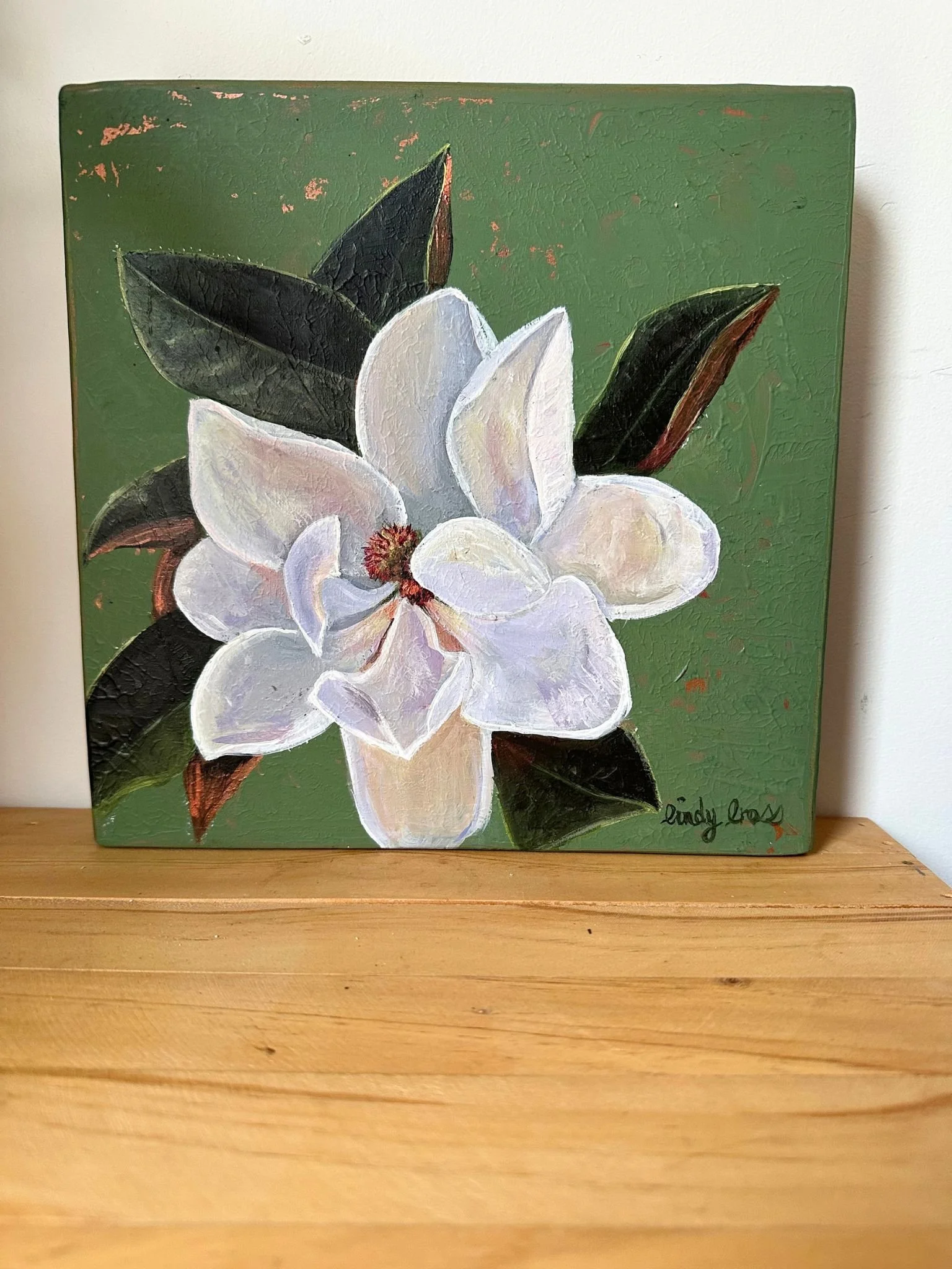 Little Gem Magnolia