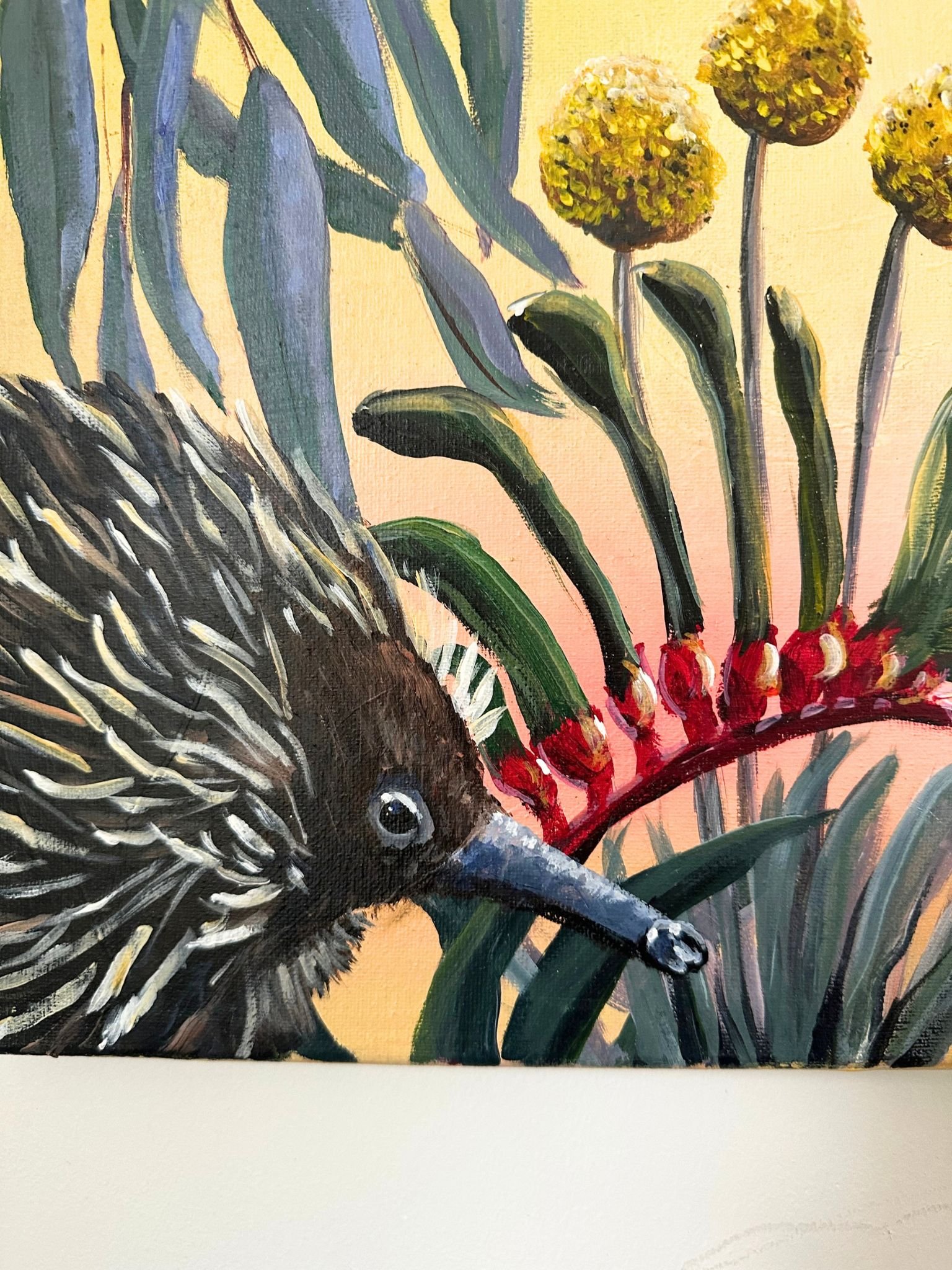 aussie 5.jpg