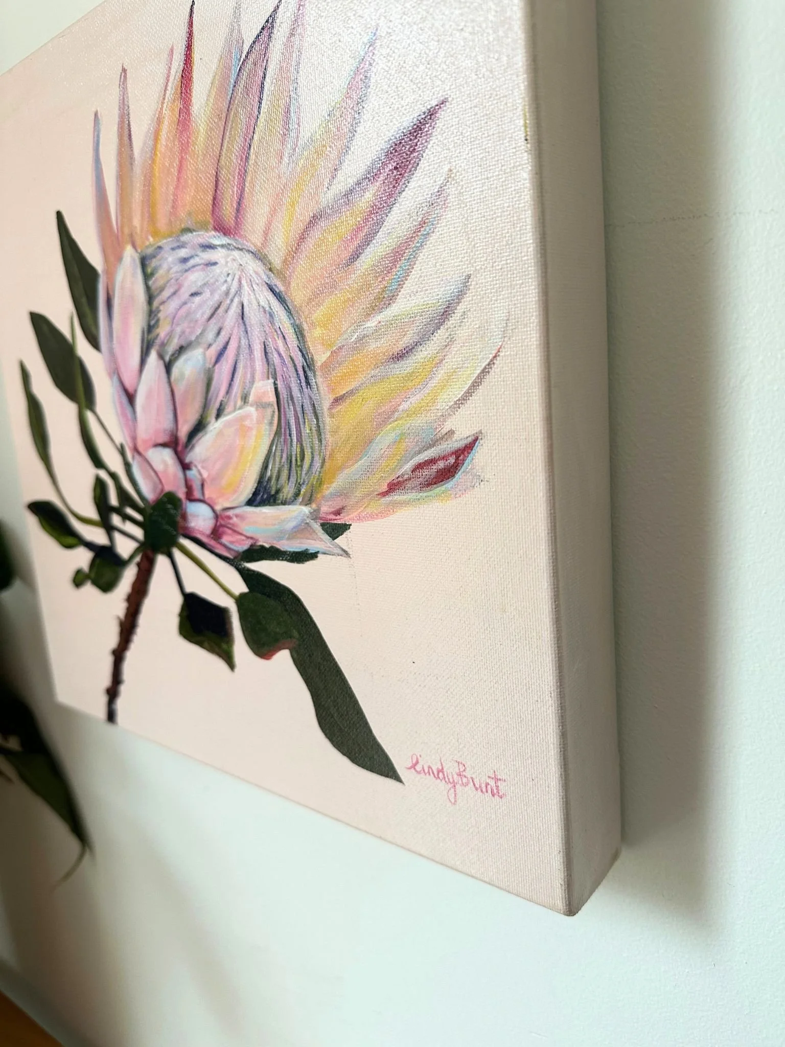 king protea 1.jpg