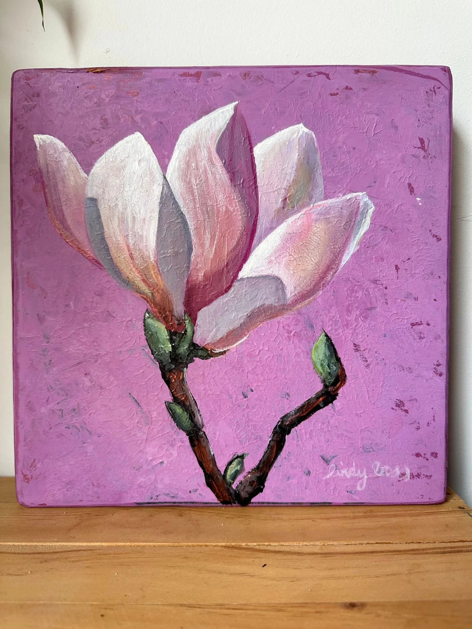 magnolia bud 1.jpg