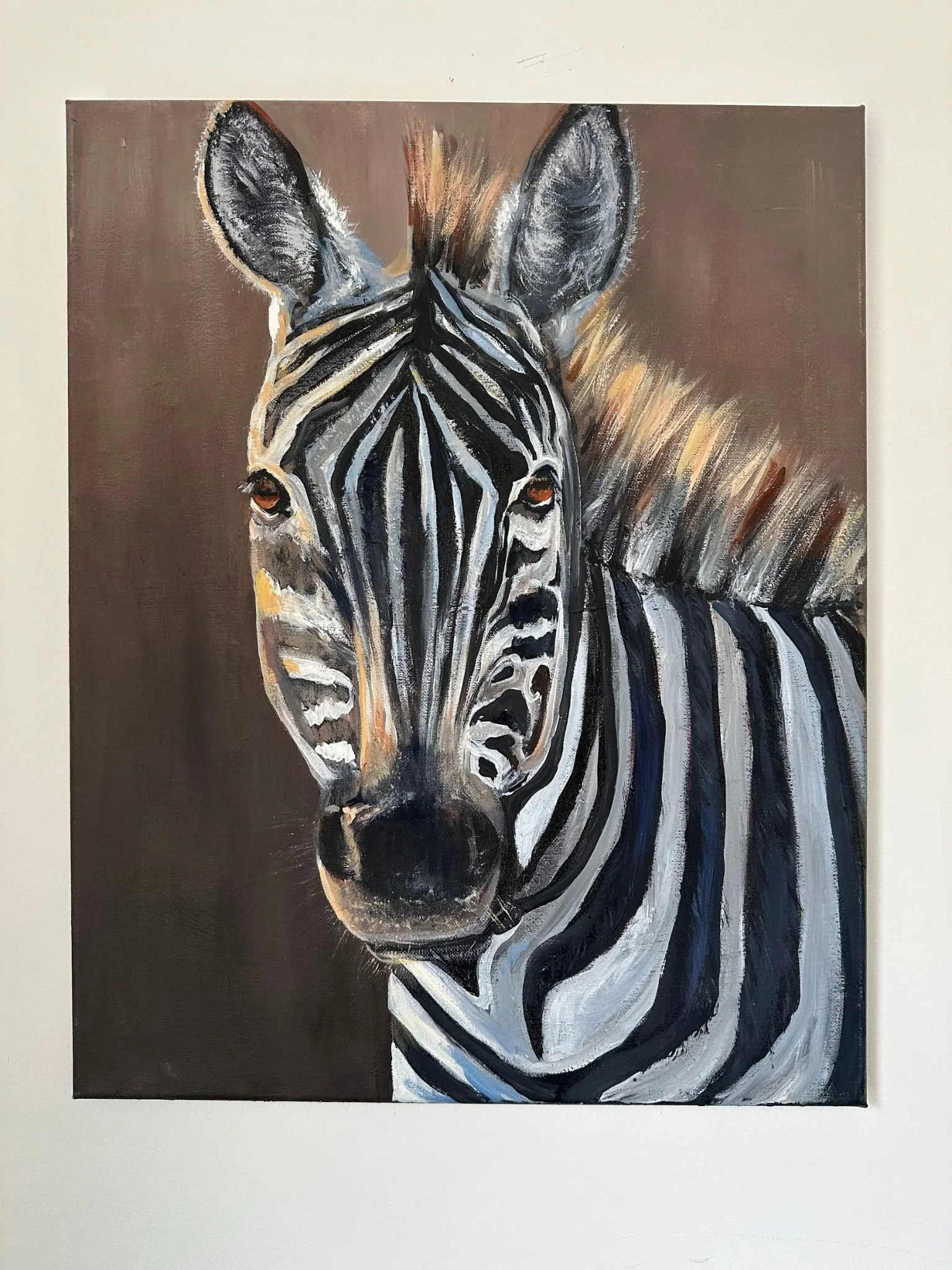 zebra2.jpg
