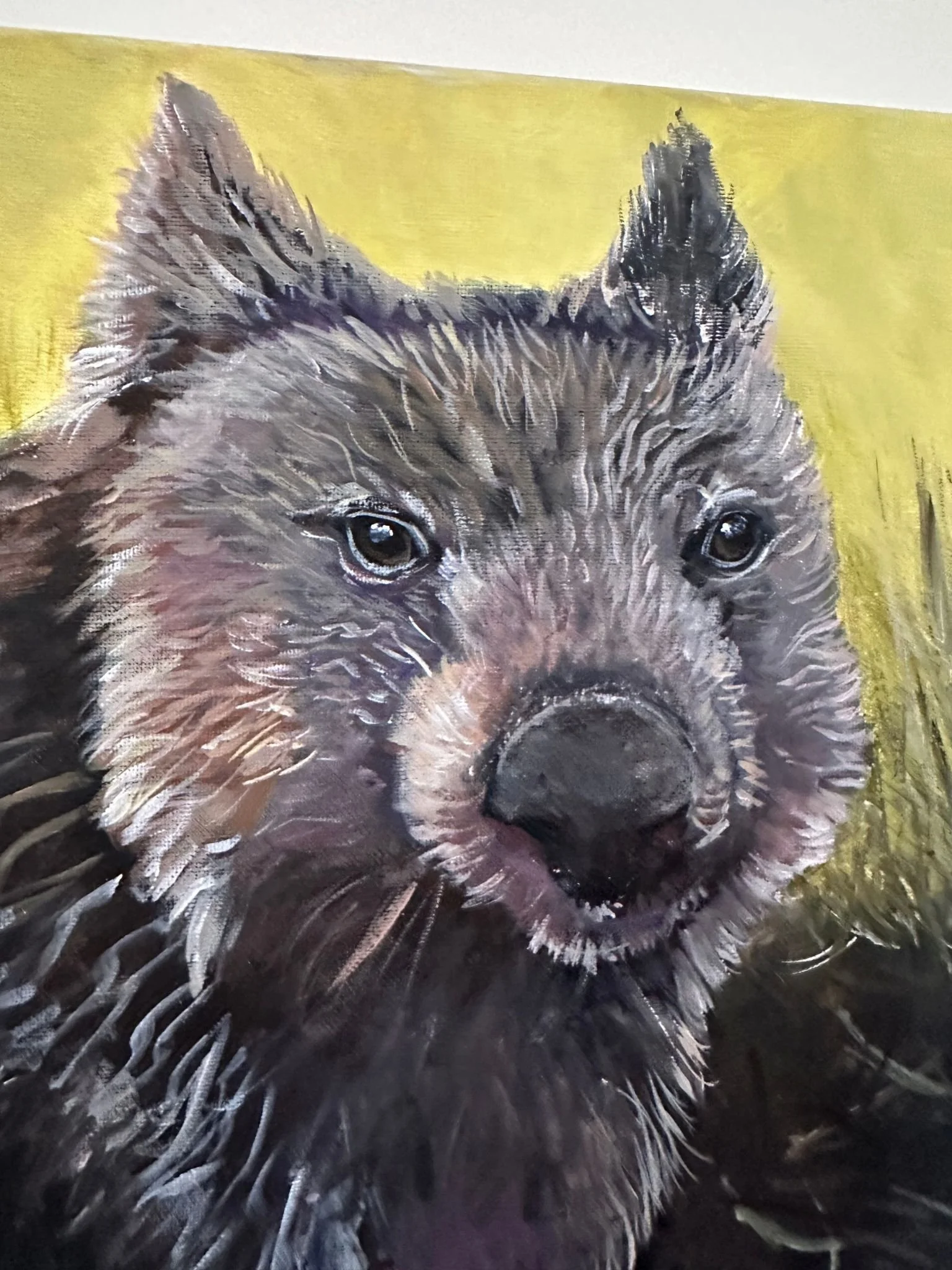 wombat 4.jpg