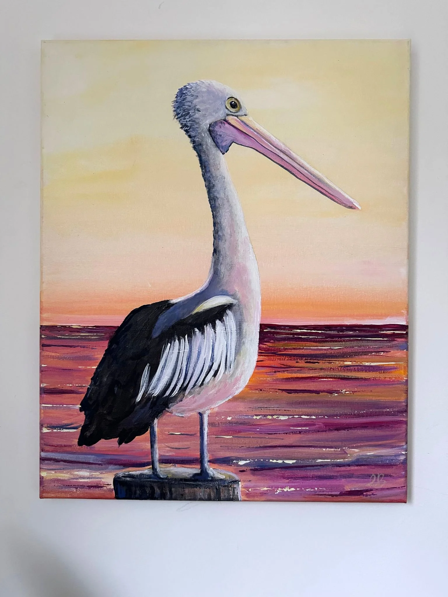 pelican b2.jpg