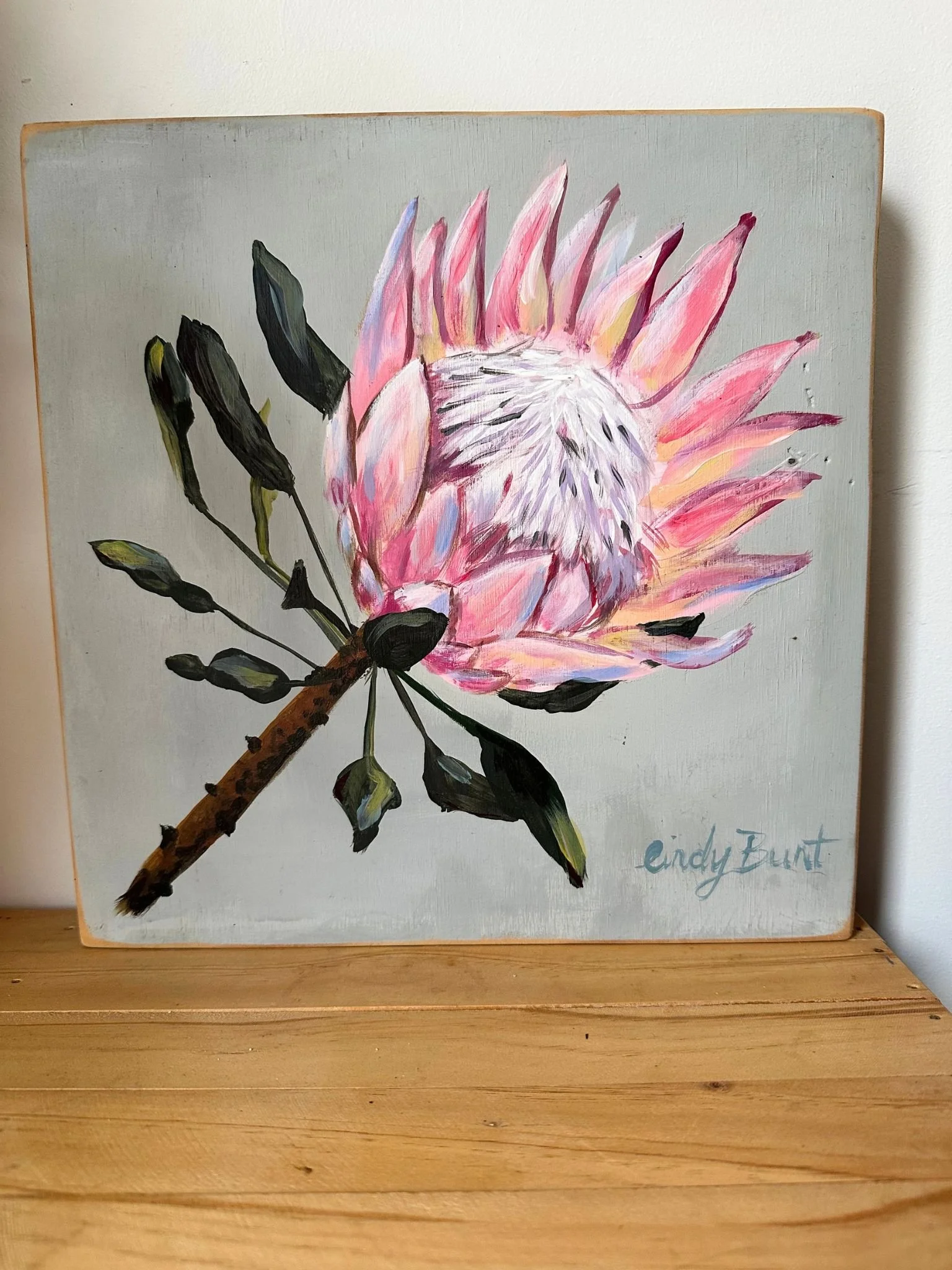 Rustic King Protea