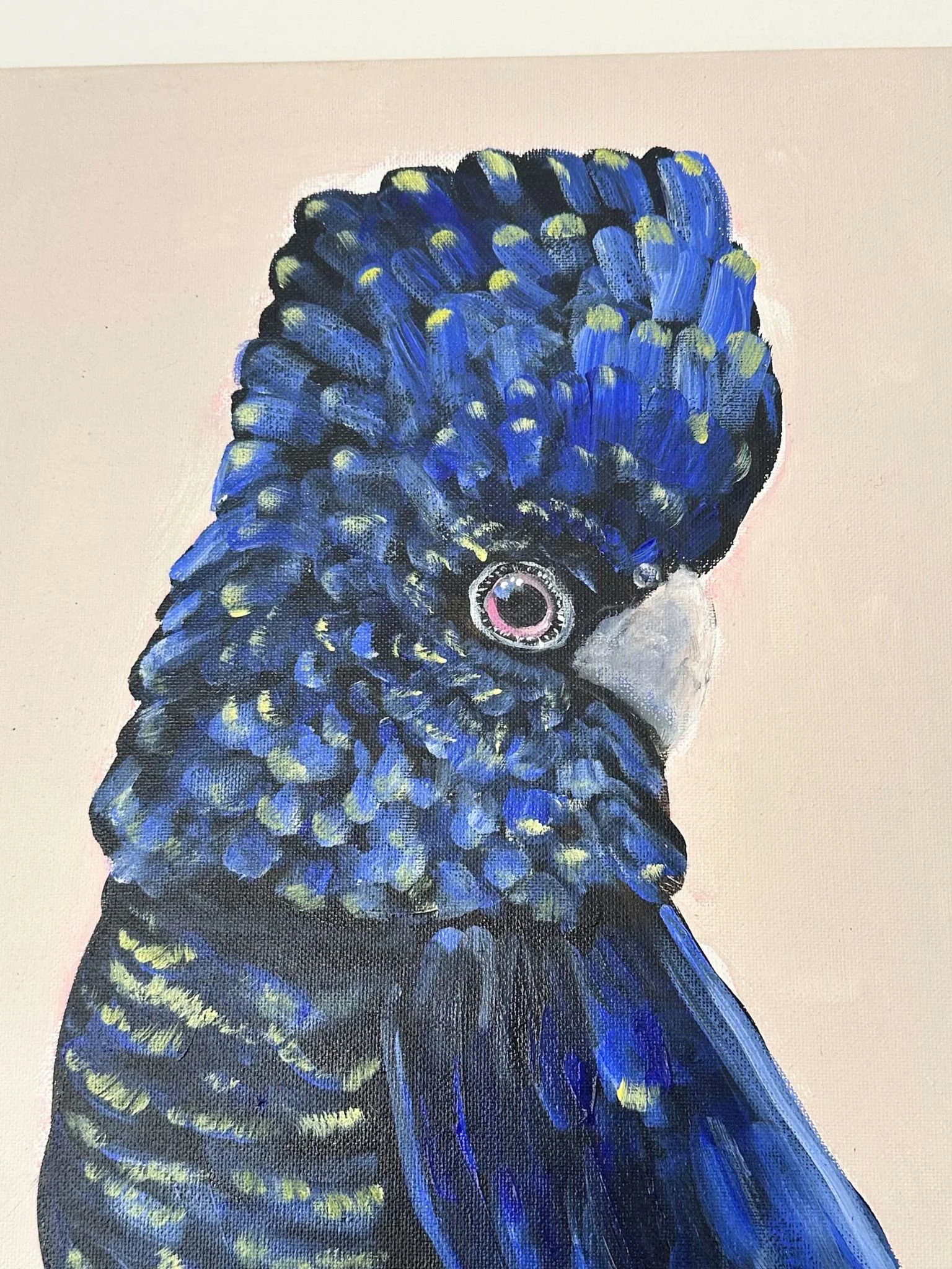 black cocky 5.jpg