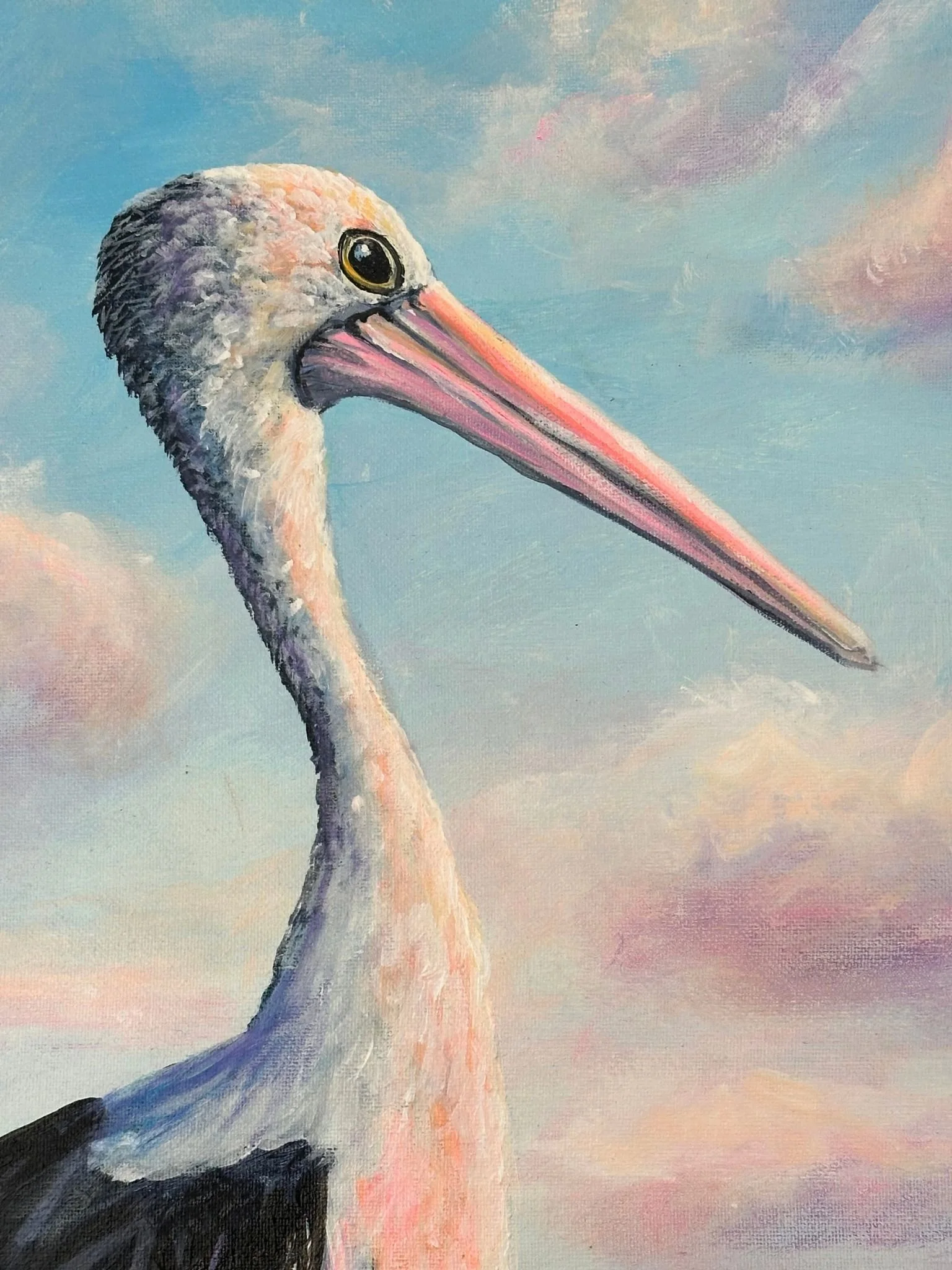 pelican a 4.jpg