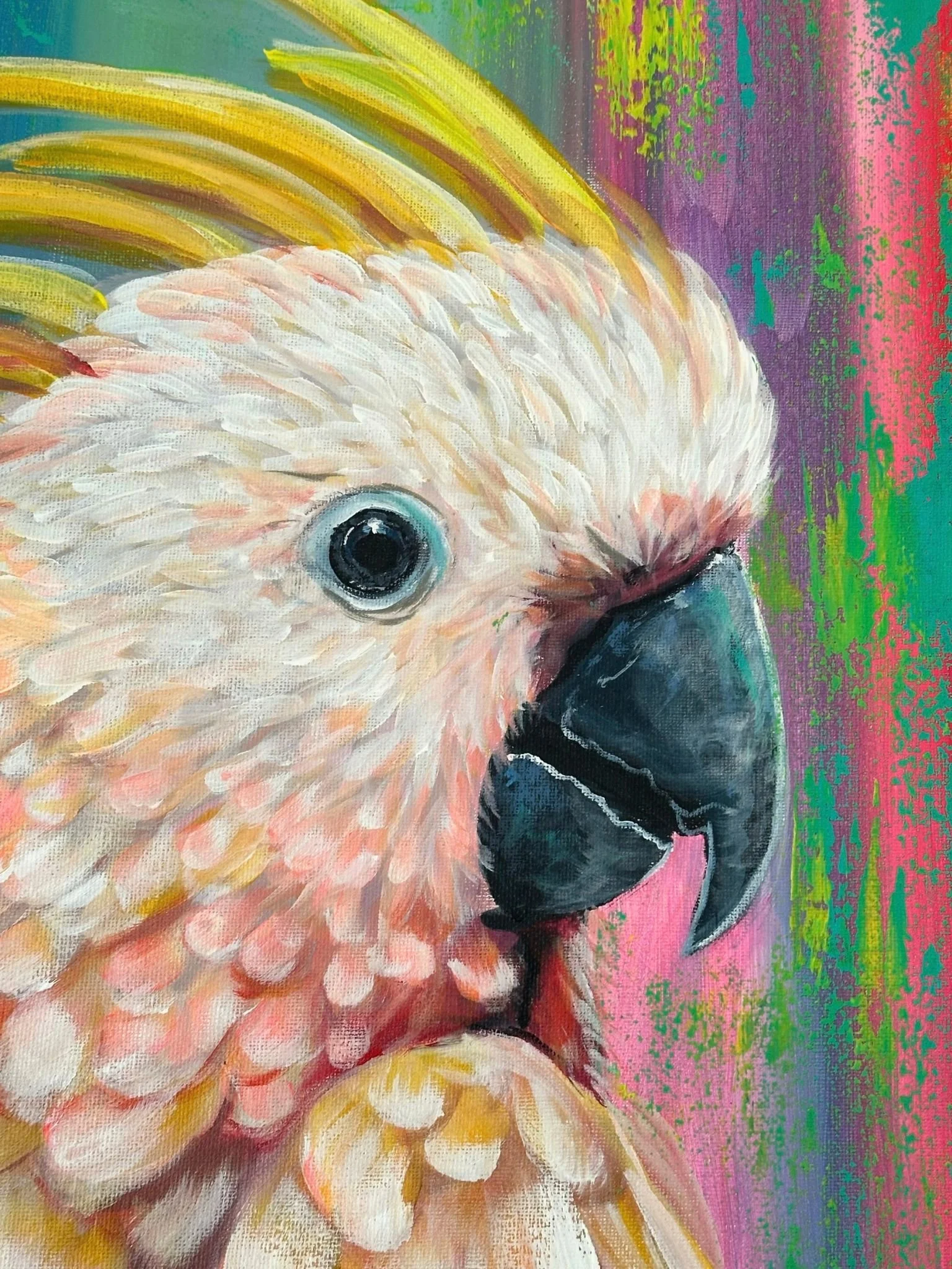 cocky 3.jpg