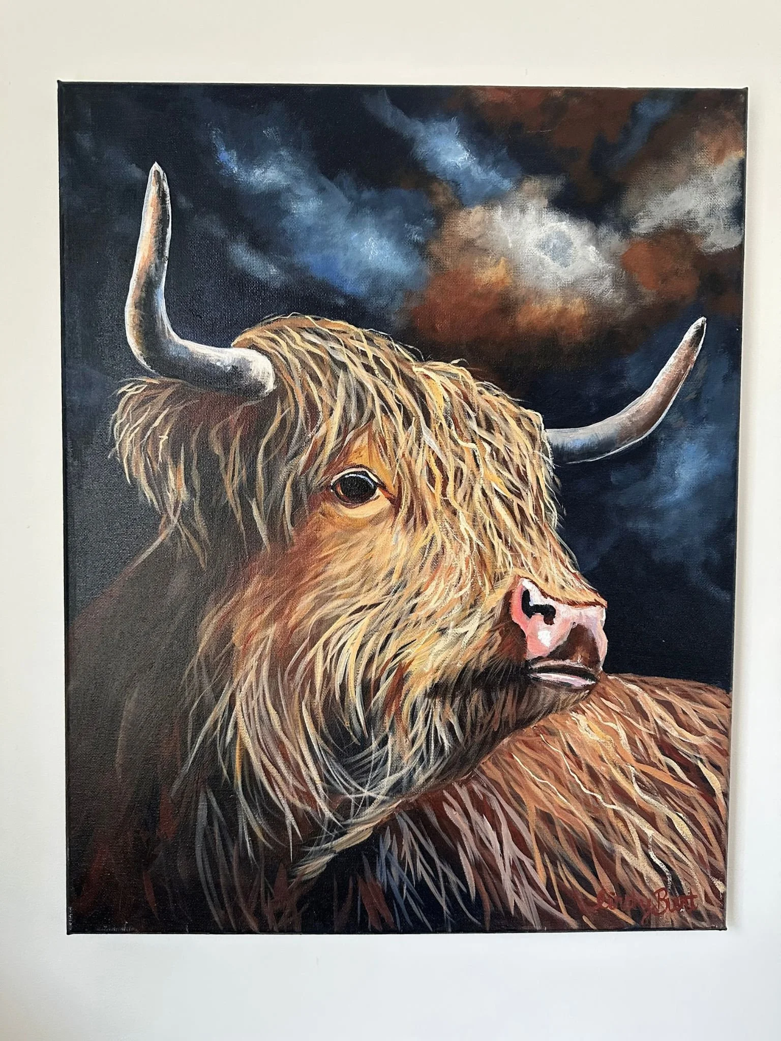 cow 2.jpg