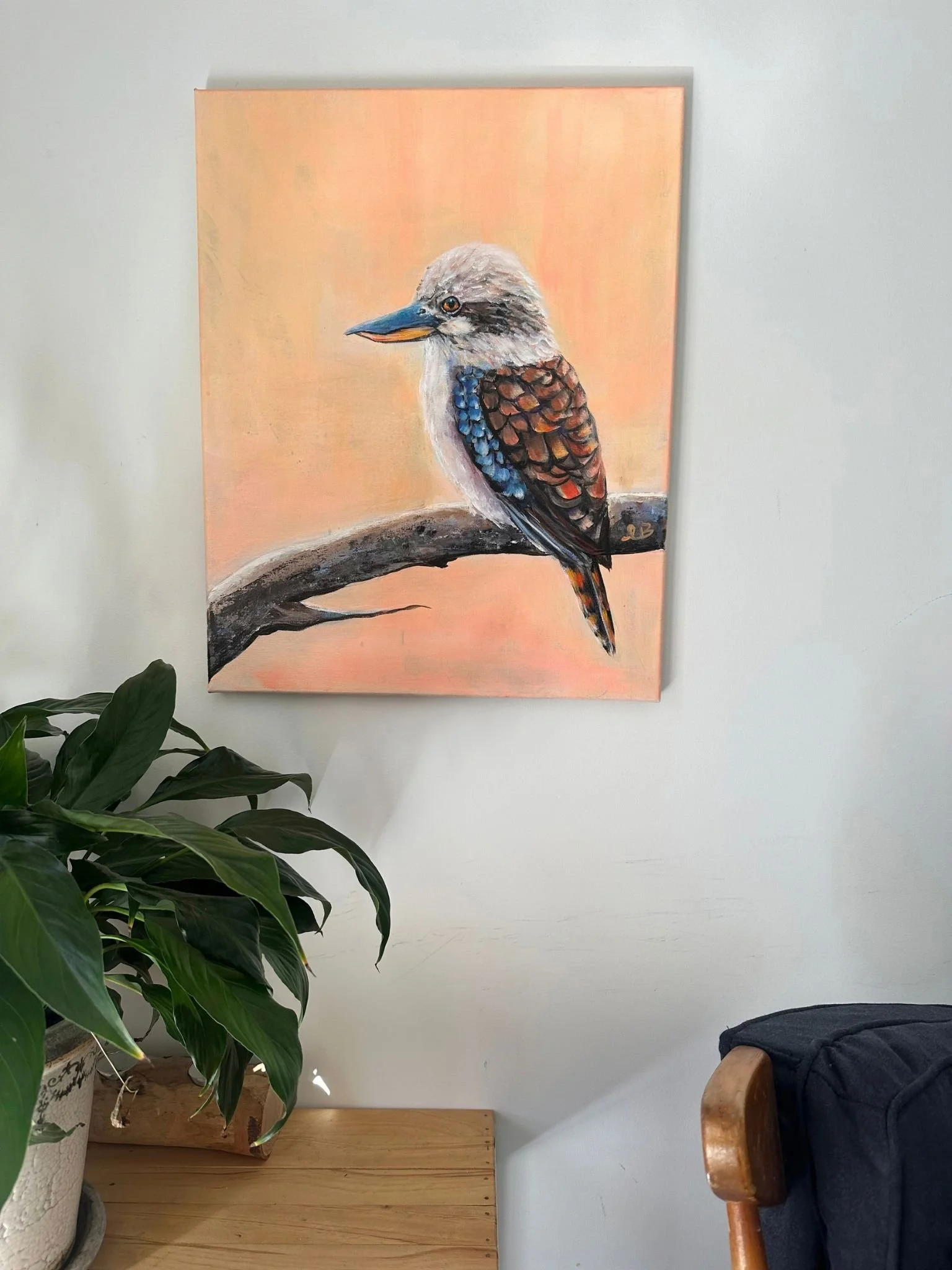kooka 3.jpg