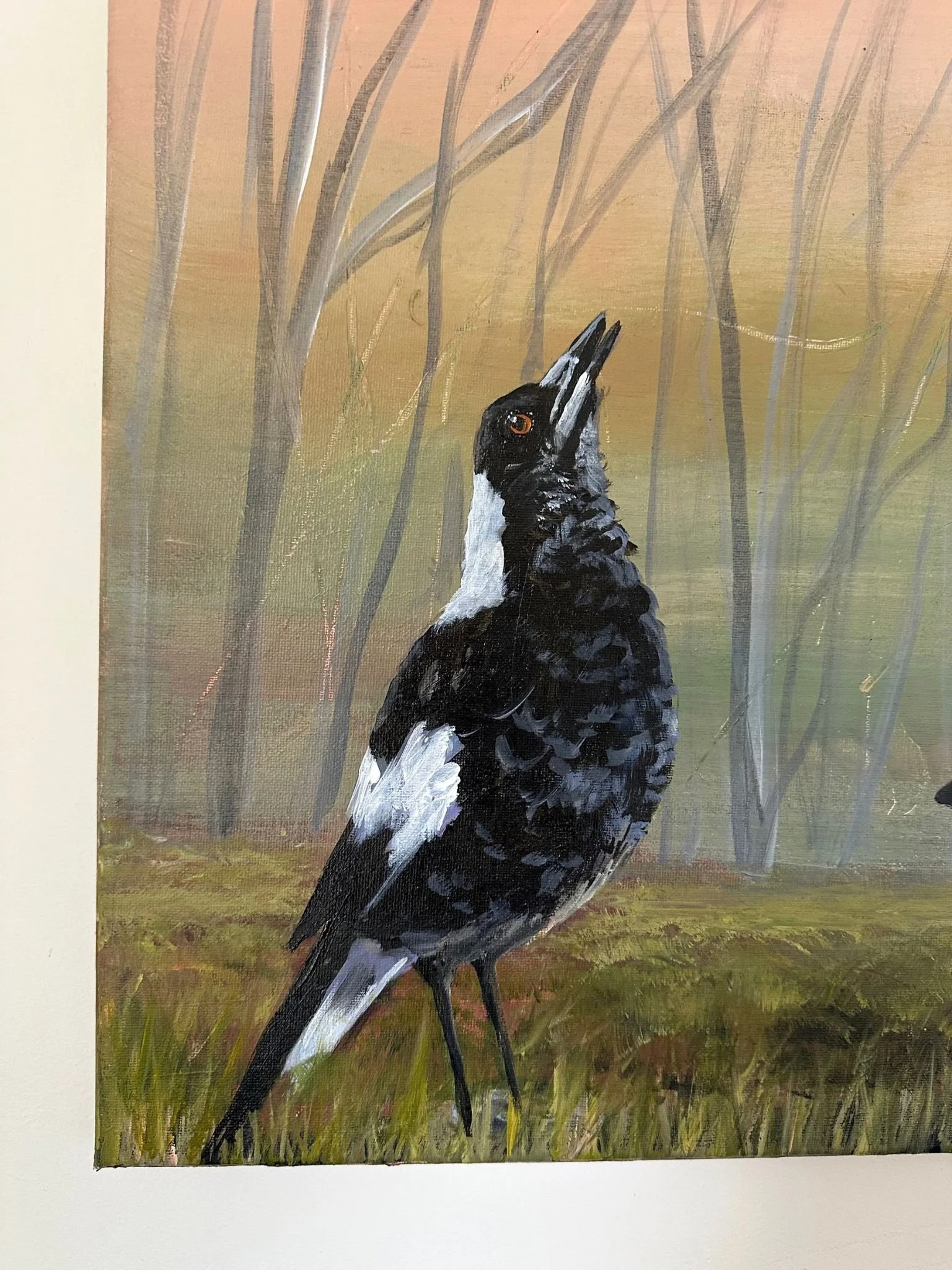 magpie 4a.jpg