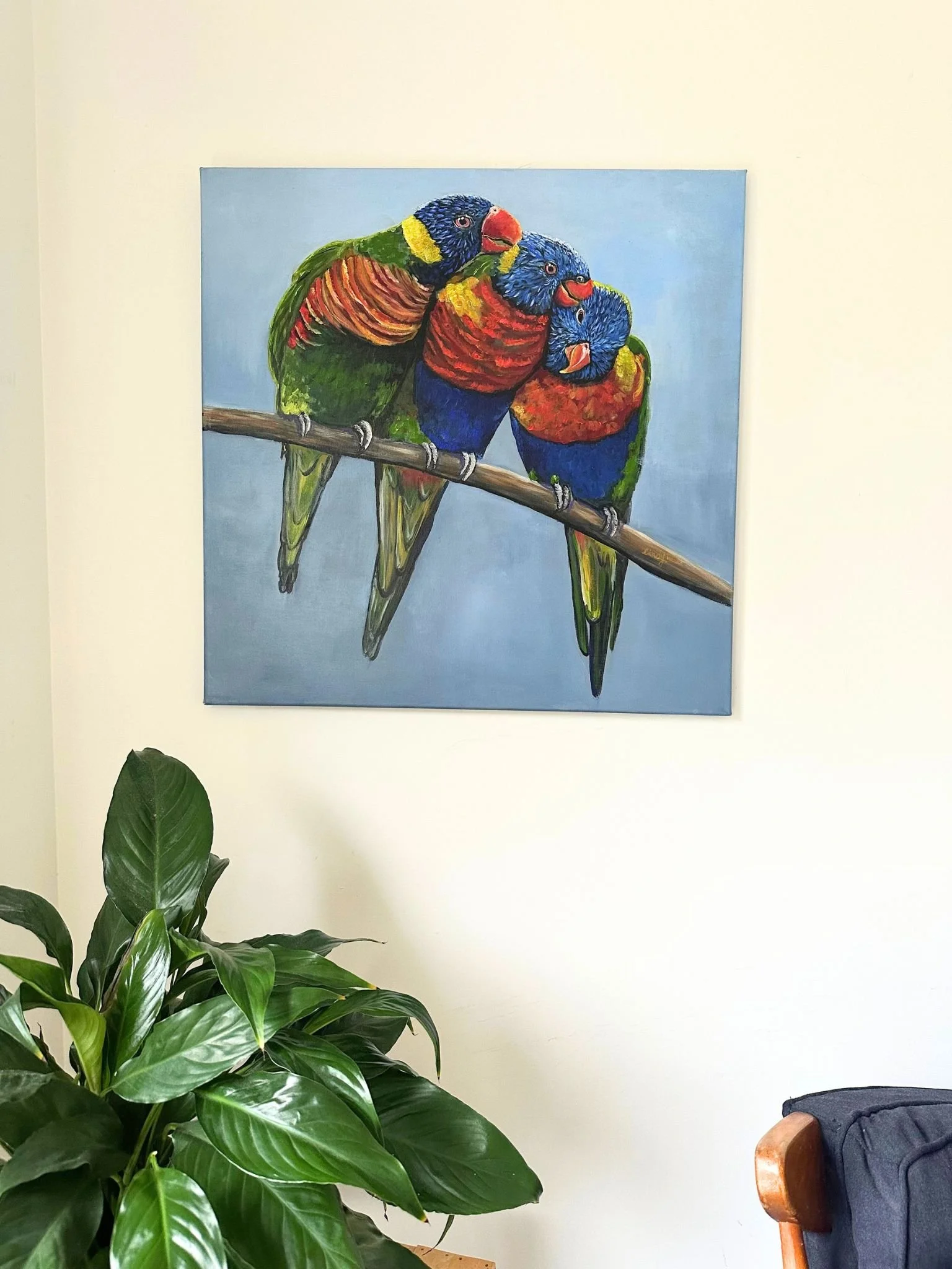 rainbow lorikeet 2.jpg