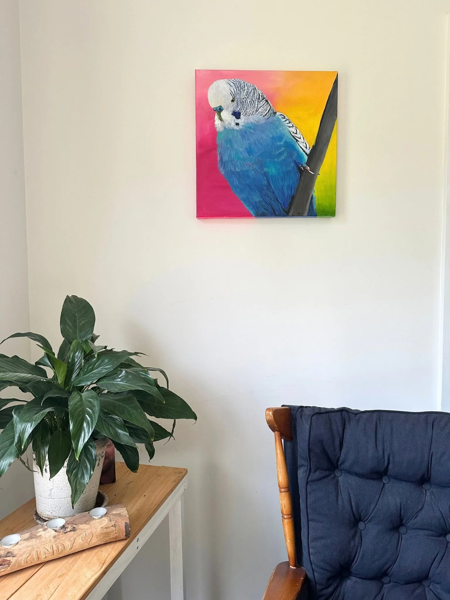 bright budgie 2.jpg