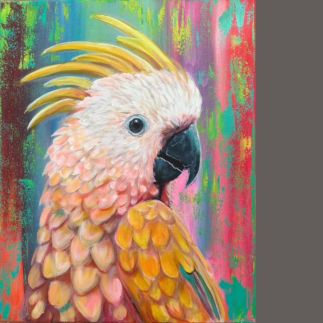 cocky colourful 1.jpg