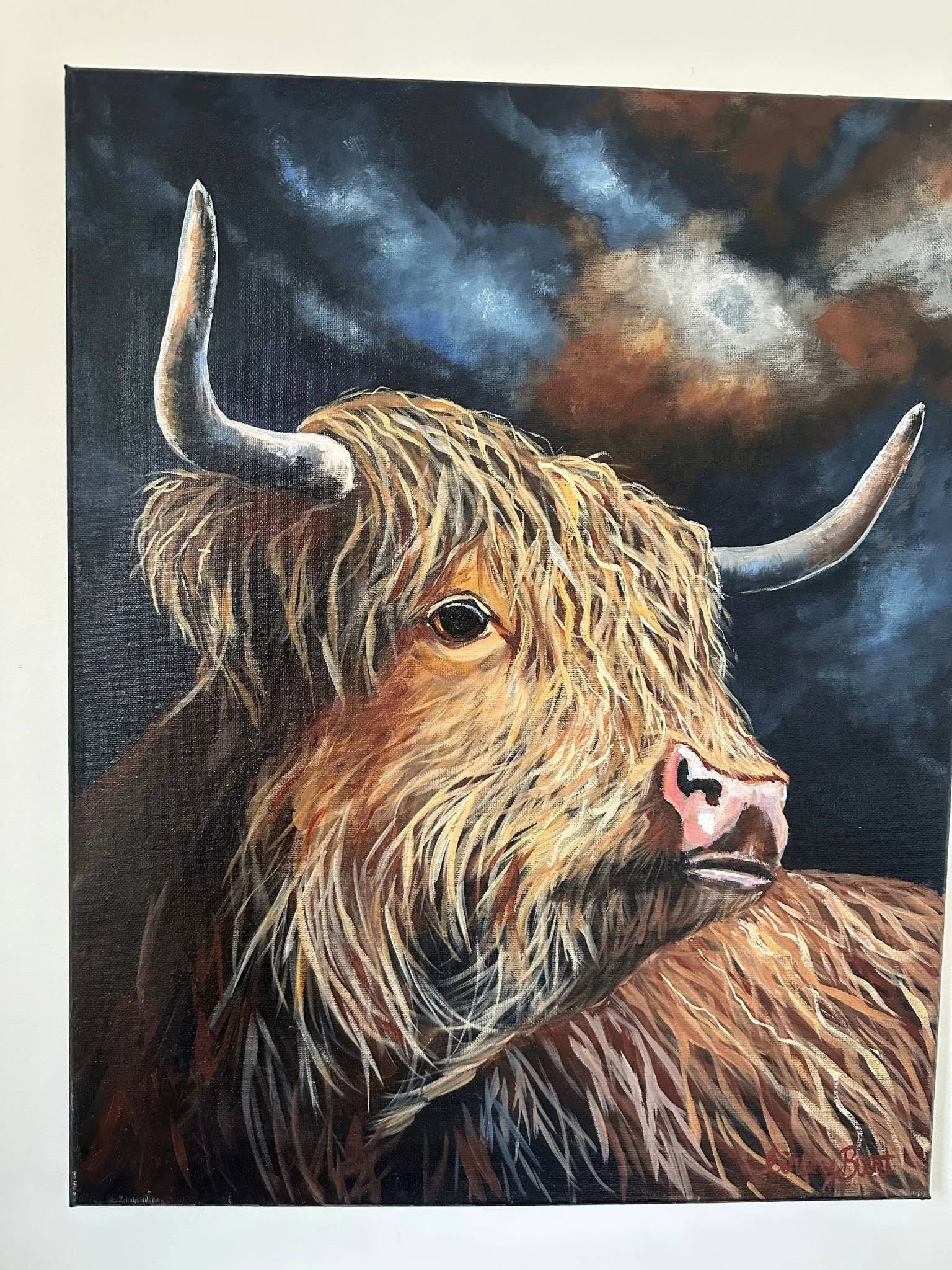 cow 5.jpg