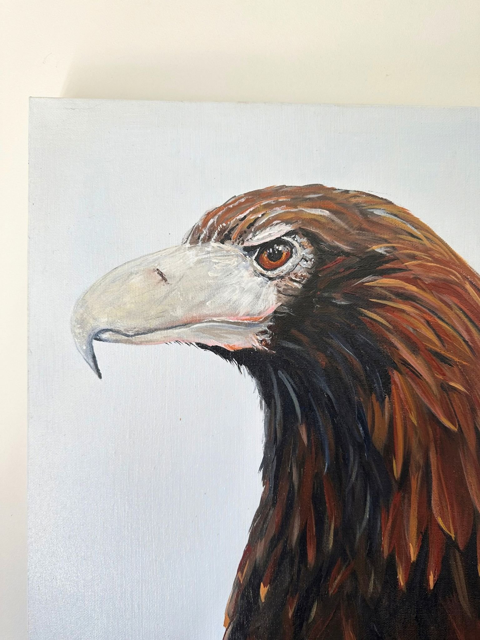 eagle 1.jpg