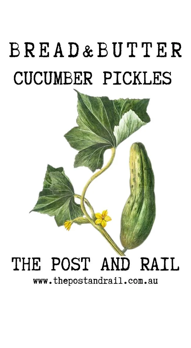 Bread and butter pickles front label.jpg