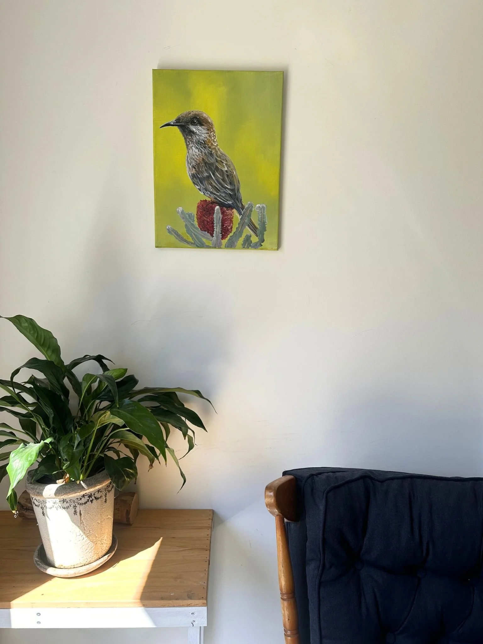 wattlebird 2.jpg